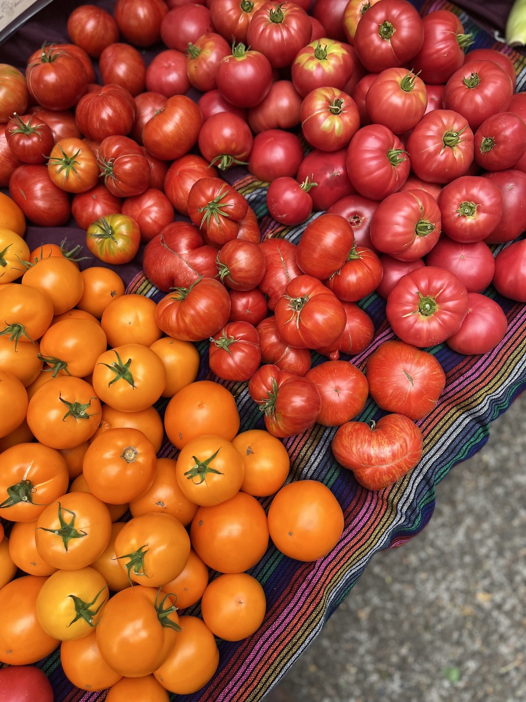 IMG_9795_2022.09.10_Market_EOF_tomatoes.jpeg