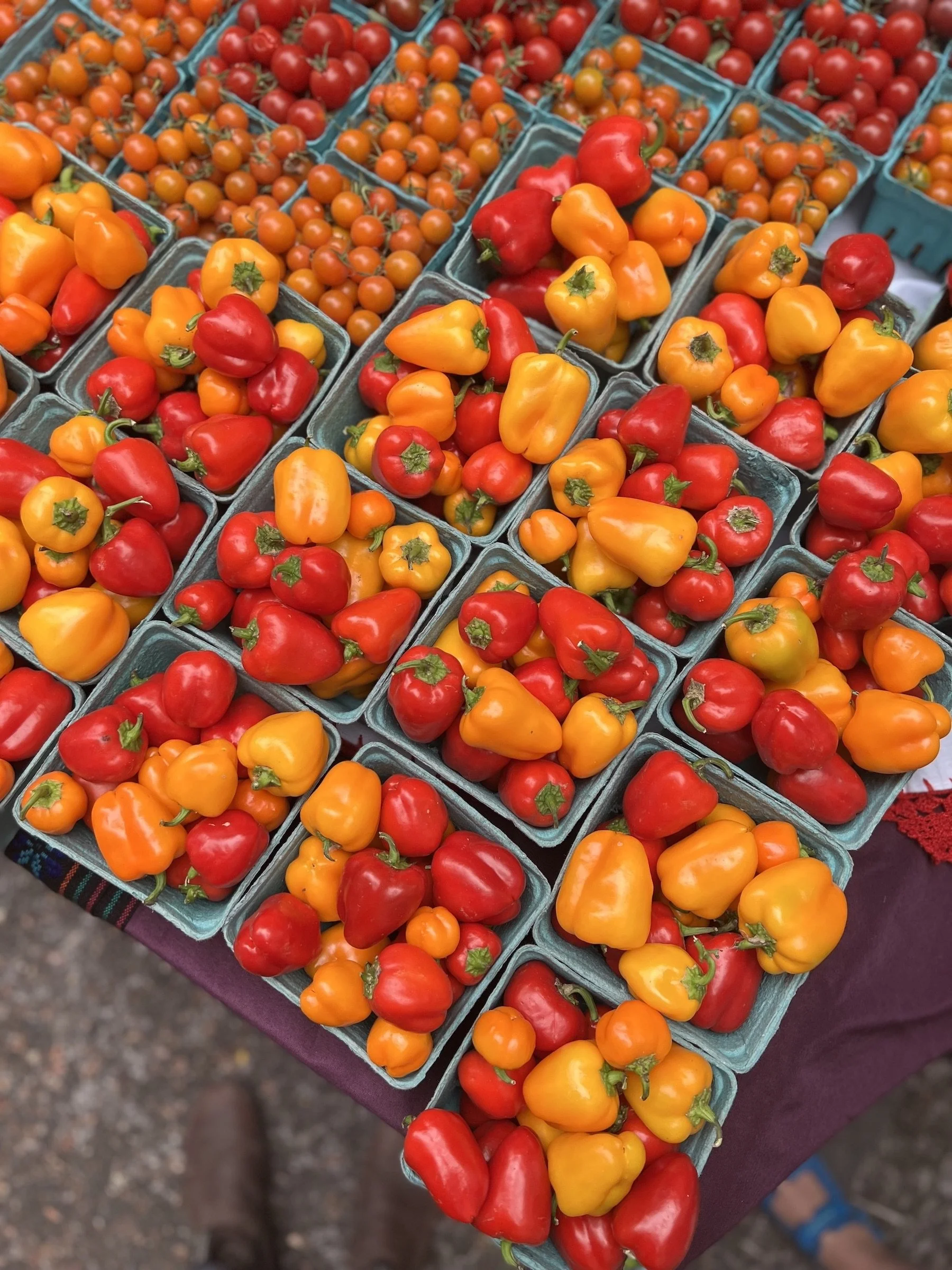 IMG_9800_2022.09.10_Market_EOF_peppers.jpeg