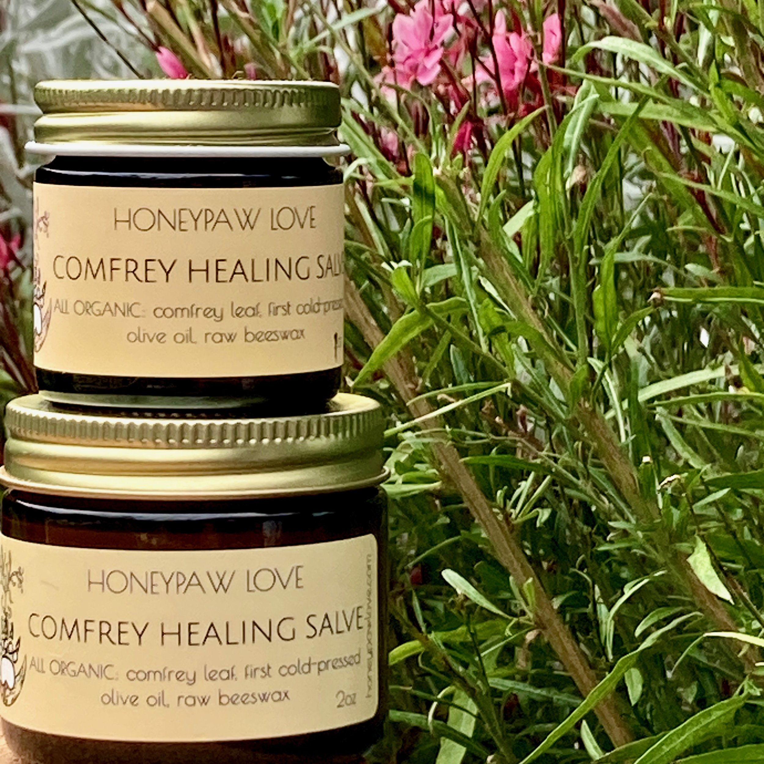 COMFREY SALVE.jpeg