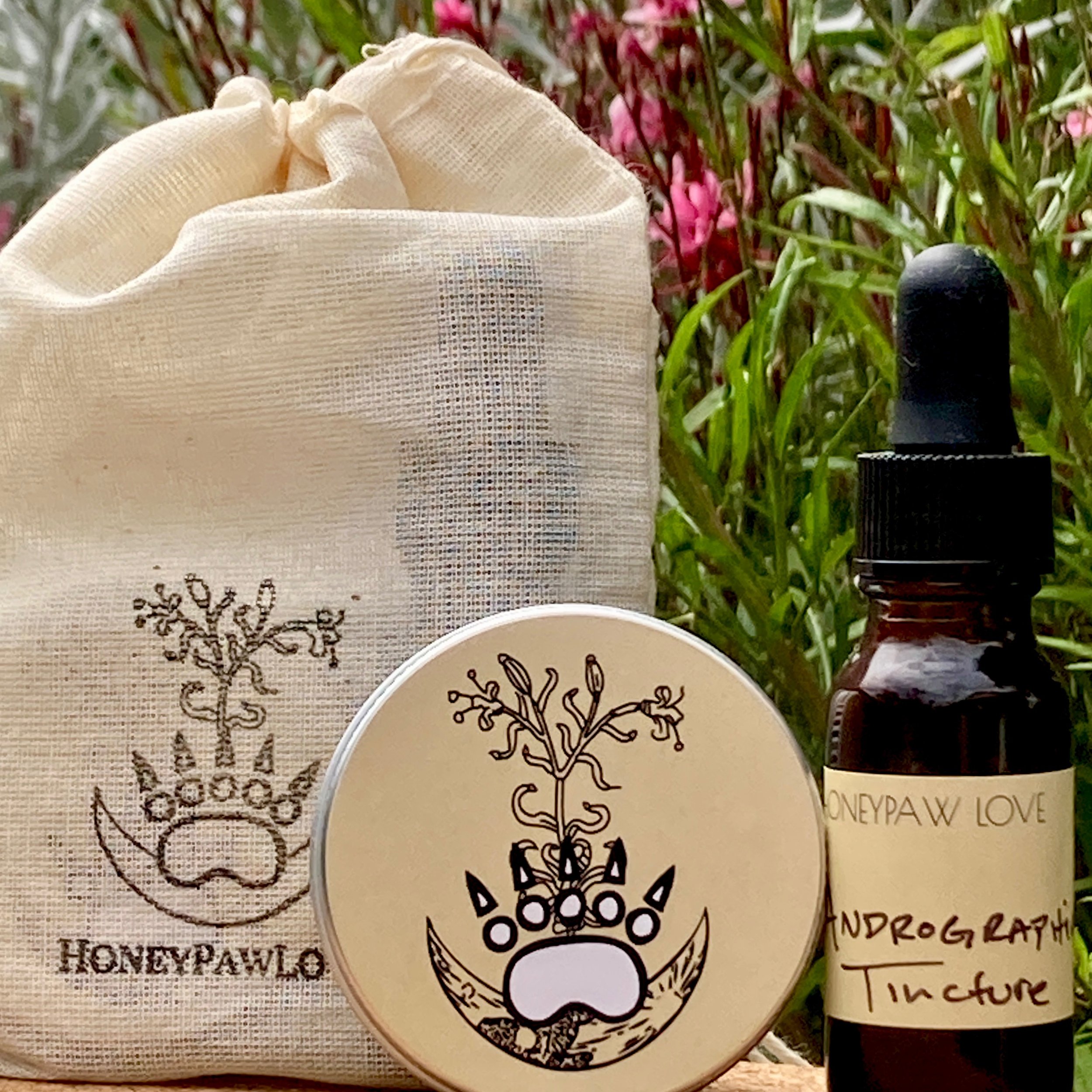Tick & Spider Bite Kit