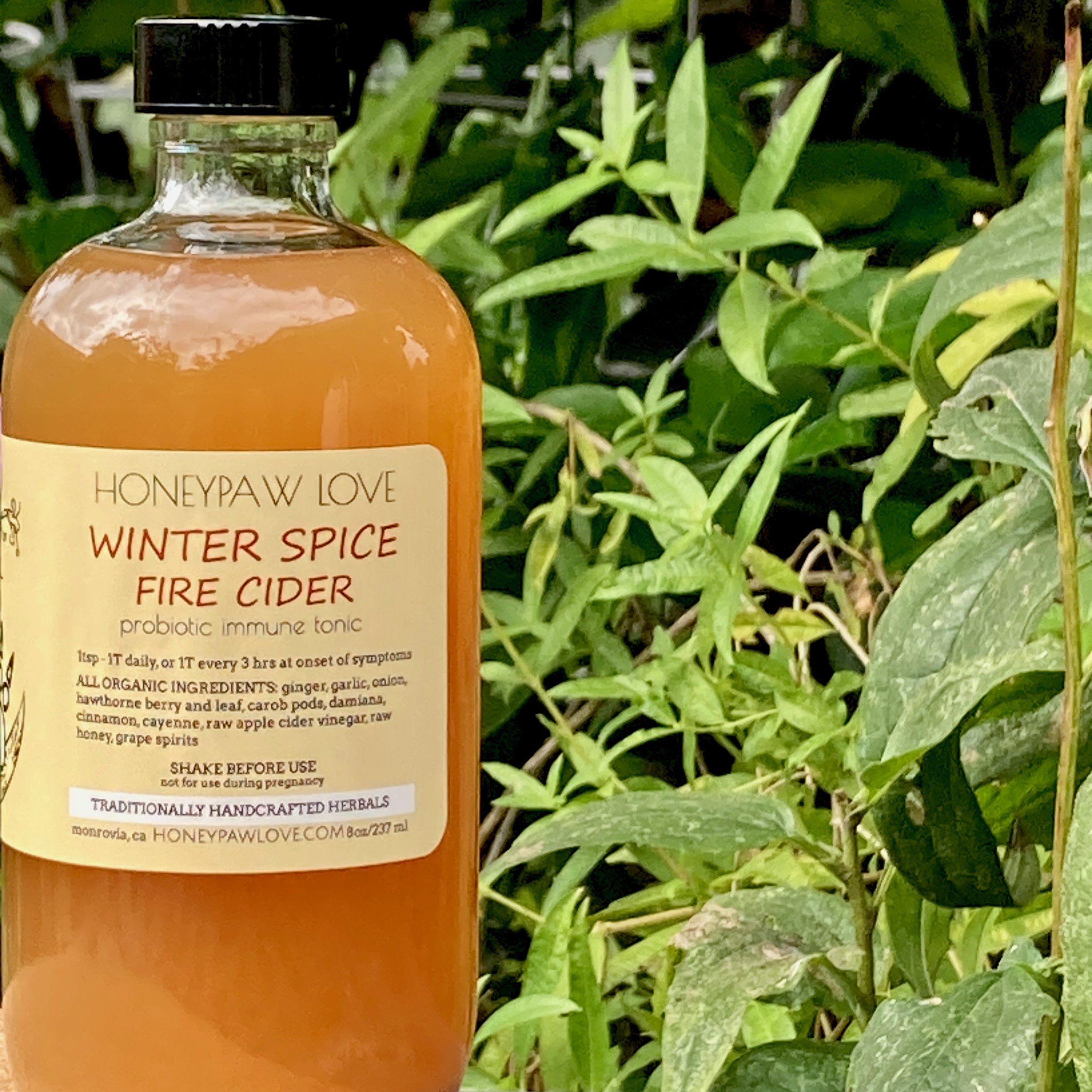 winter spice fire cider.jpeg