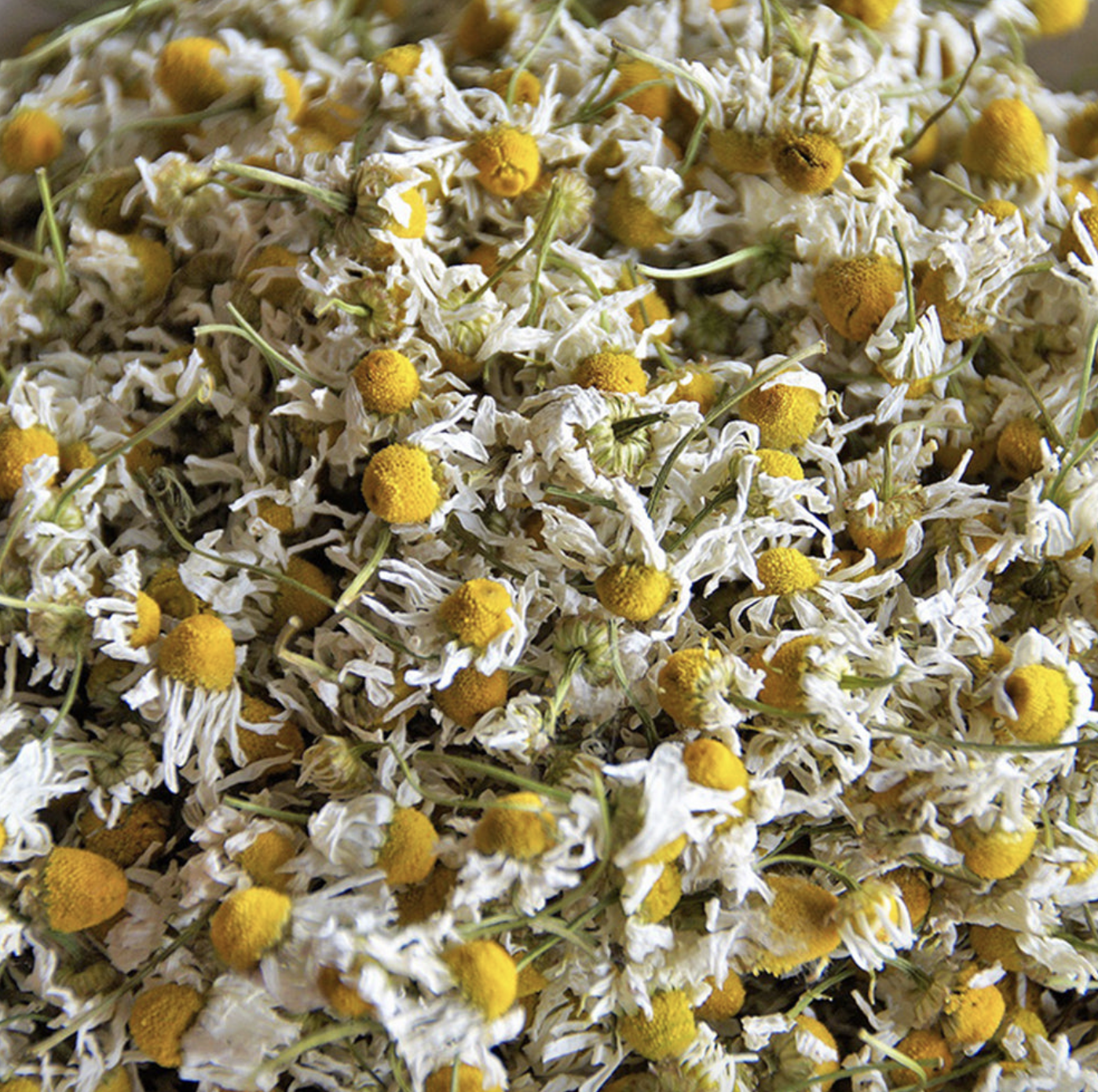 Screenshot 2026-03-23 at 11.04.40 PM.png