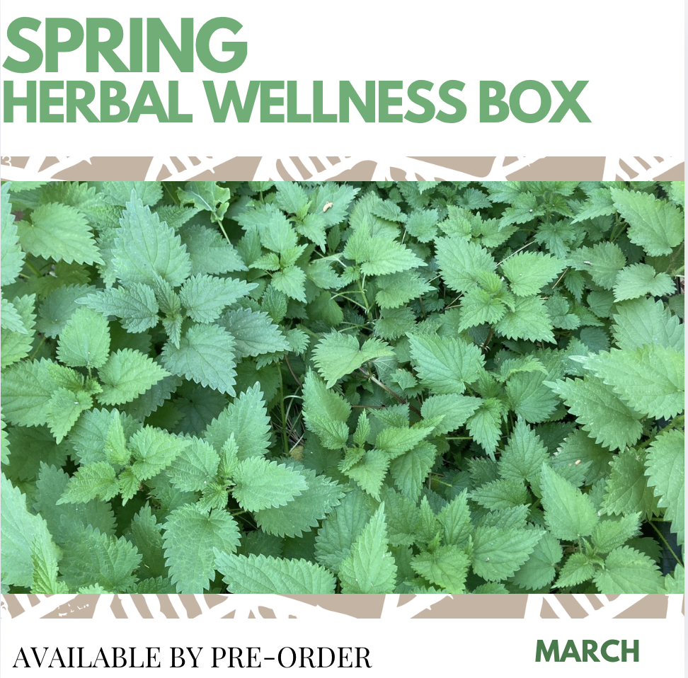 honeypaw love herbals spring herbal wellness box.png