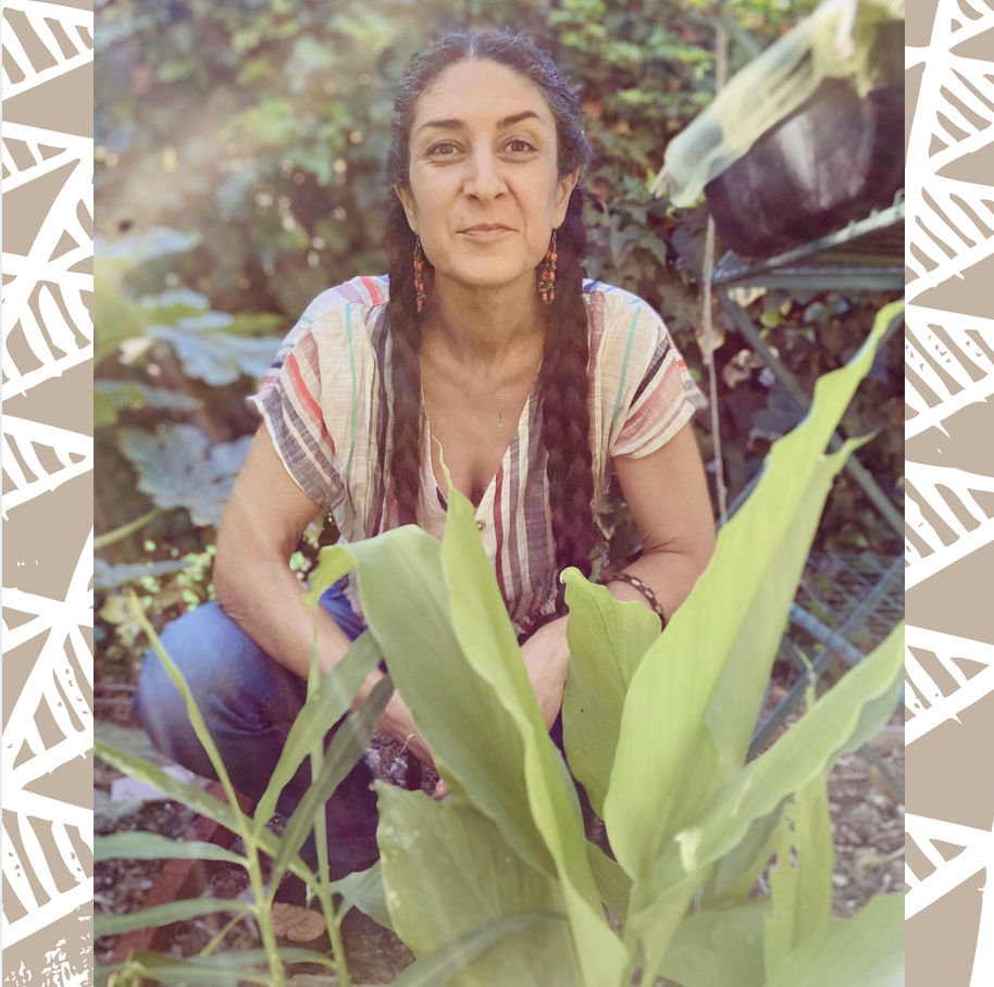 long beach los angeles southern california herbalist herbal remedies medicine apothecary online store shop hedieh hedy madari