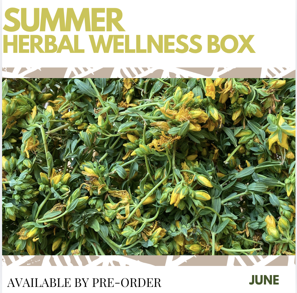 honeypaw herbals summer box.png