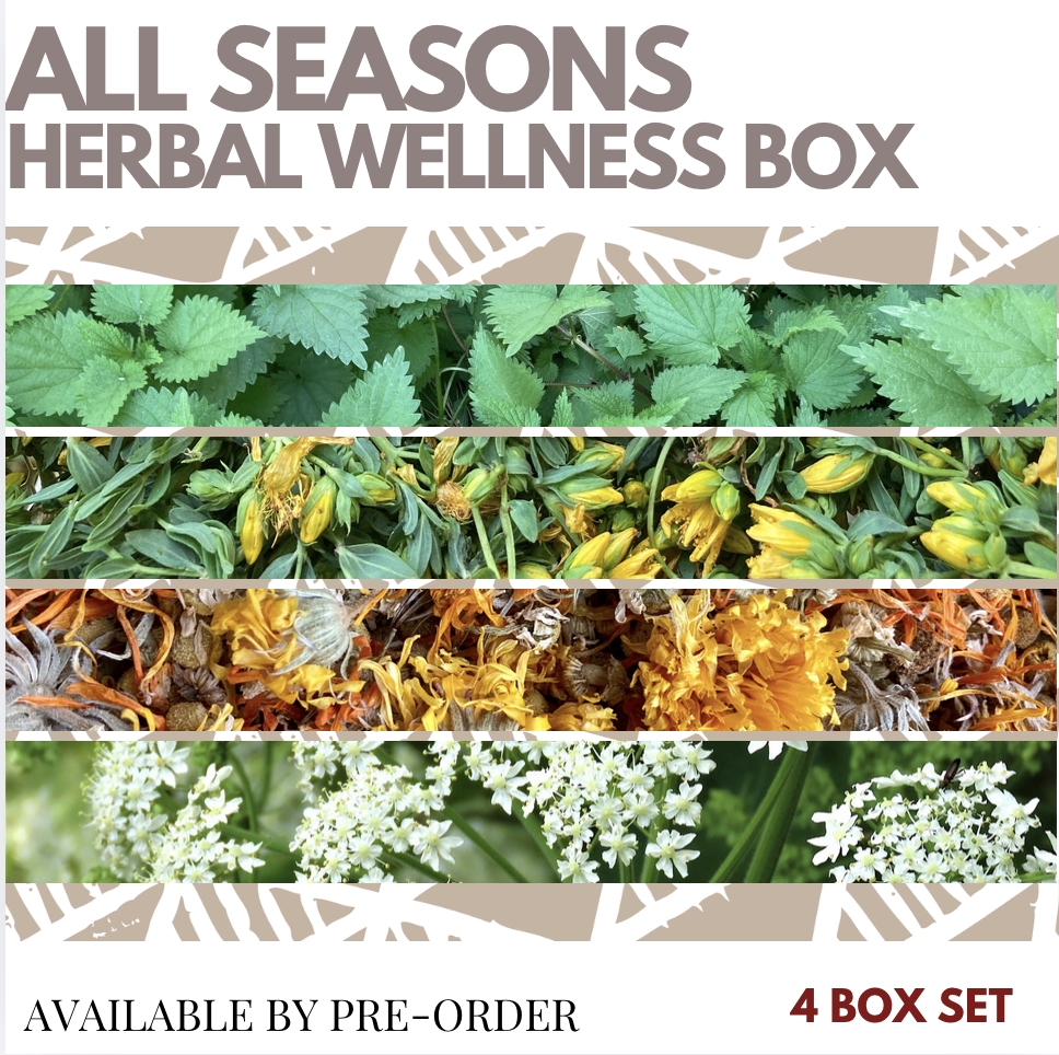 HONEYPAW all seasons herbal box.png