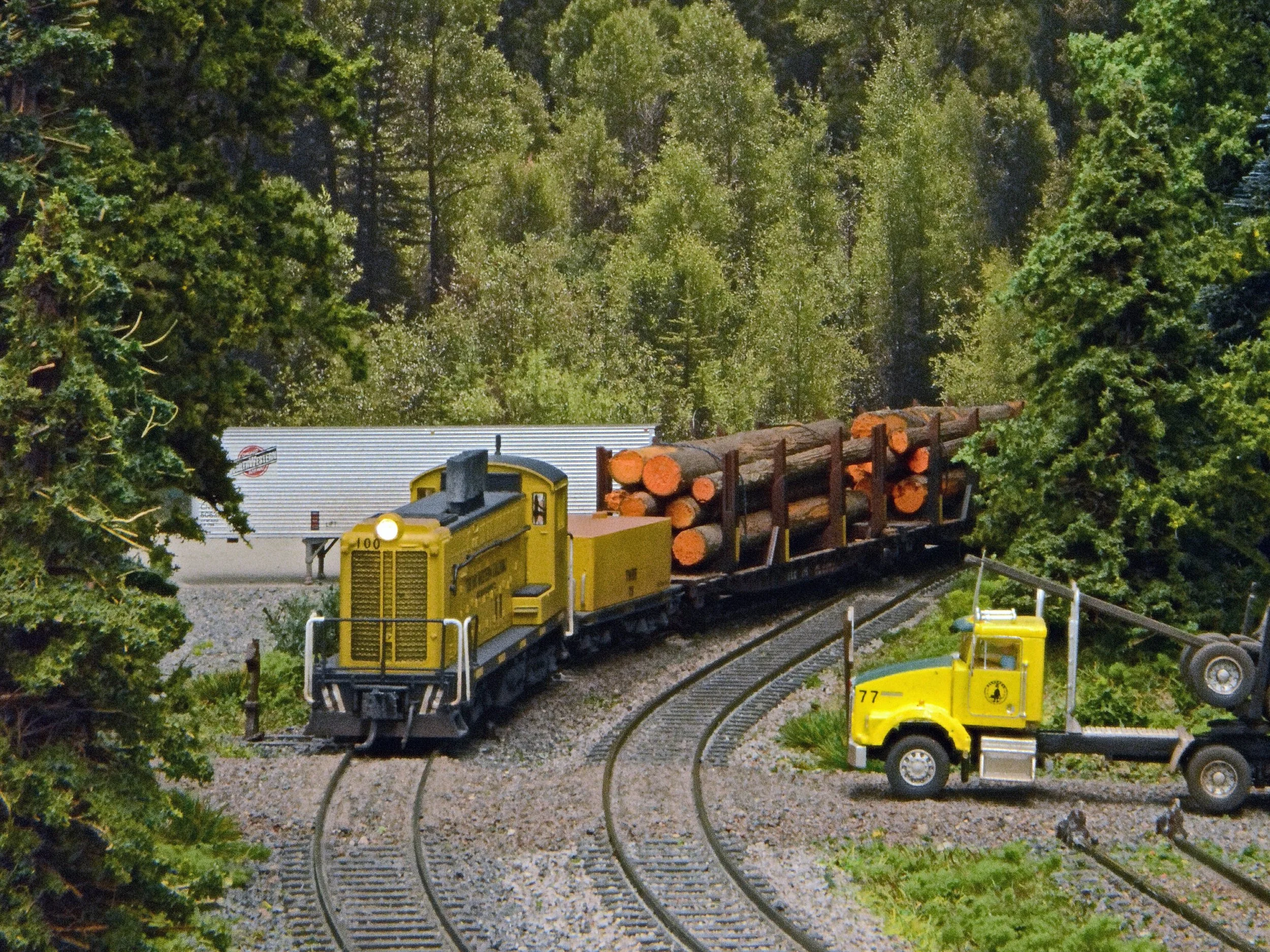 Tyler Tenino Western Railroad (N) — 2022 National Narrow Gauge Convention