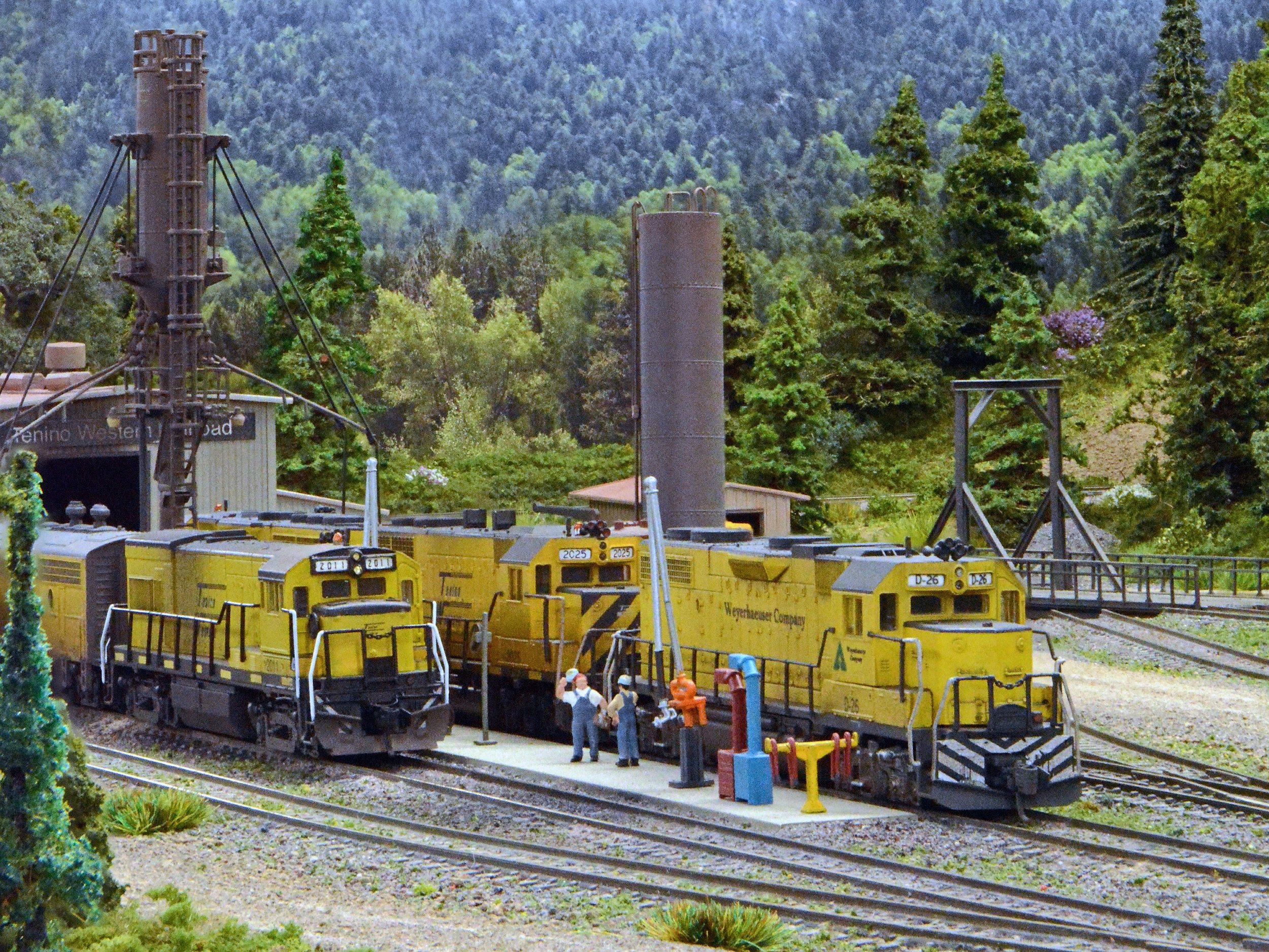 Tyler Tenino Western Railroad (N) — 2022 National Narrow Gauge Convention