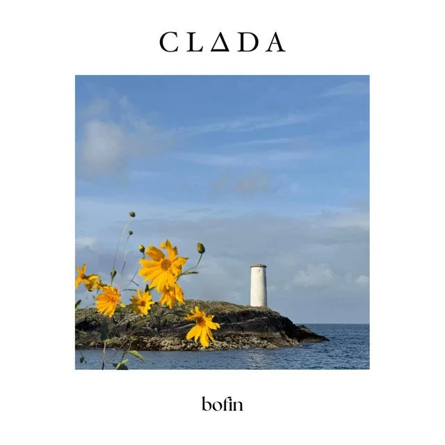 Clada - 'Boffin'