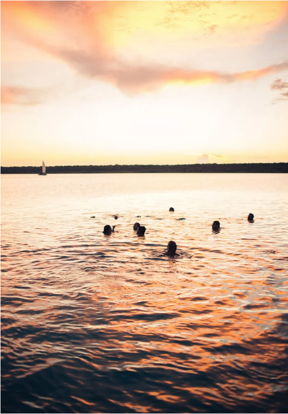 Screen Shot 2025-10-23 at 12.56.52 PM.png