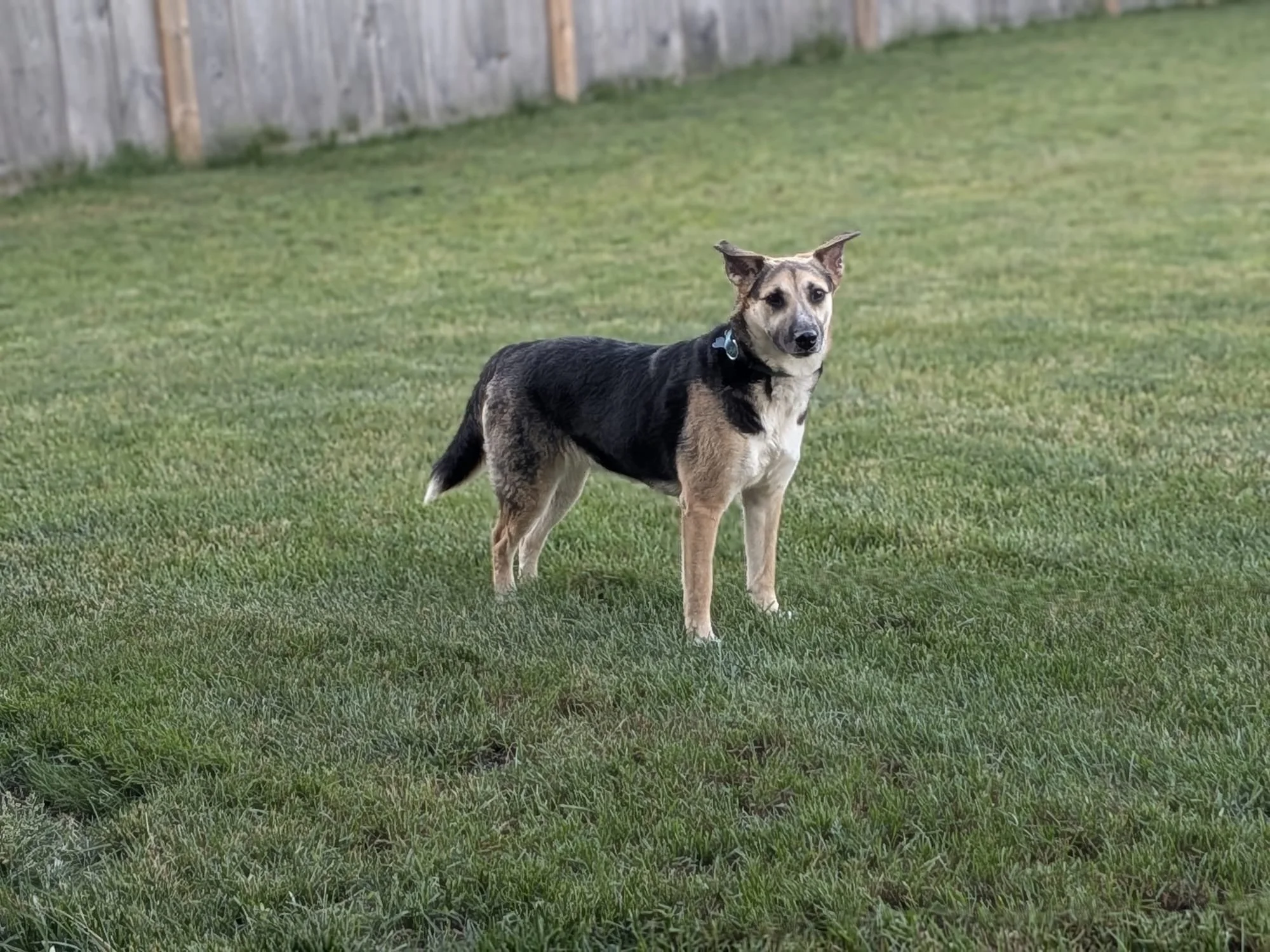 Lucy