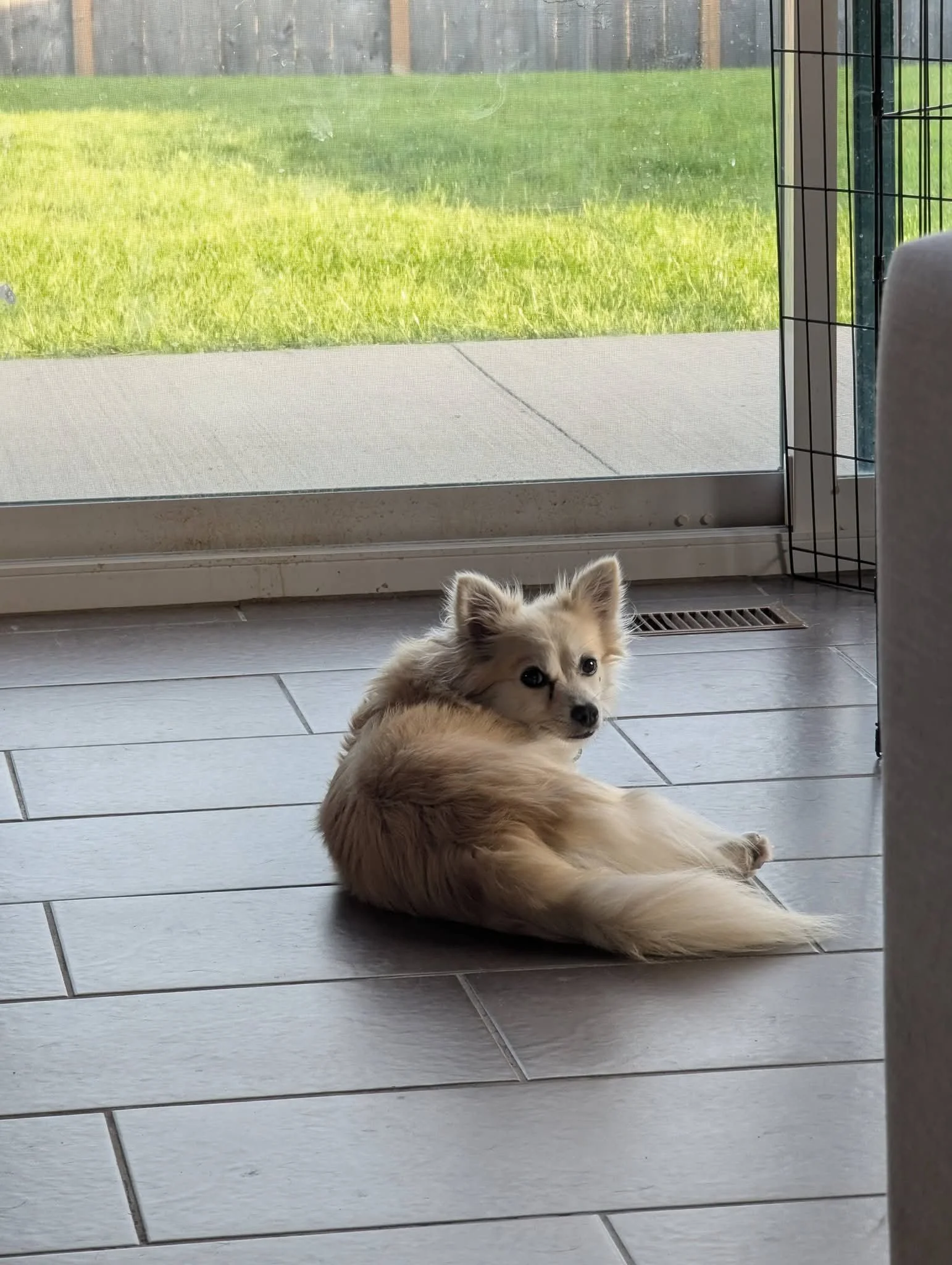 Sadie