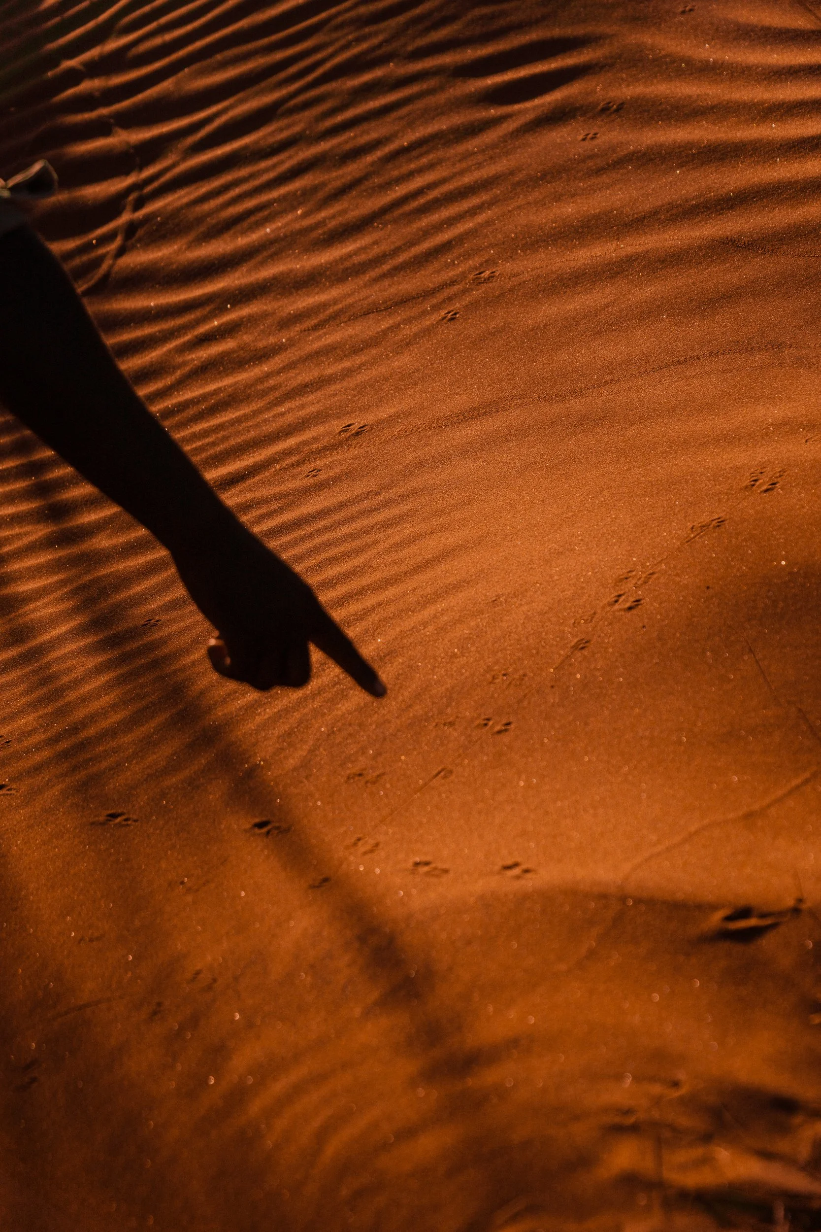 06_20260228_Chase-Travel_Namibia-andBeyond-0270.JPG