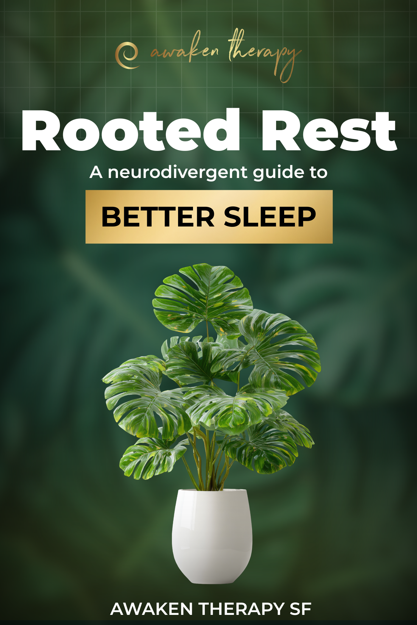 Rooted Rest: A Guide to Better Sleep