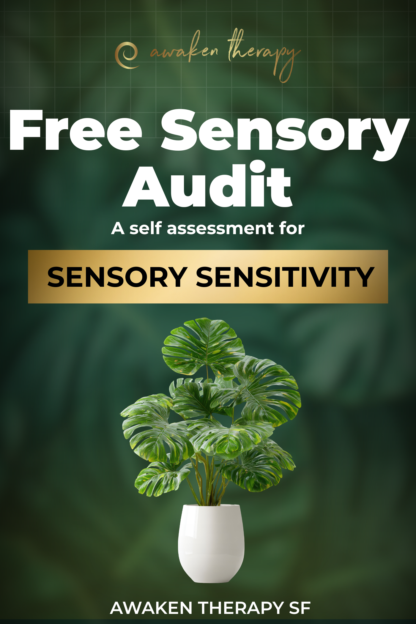 Free Sensory Audit.png