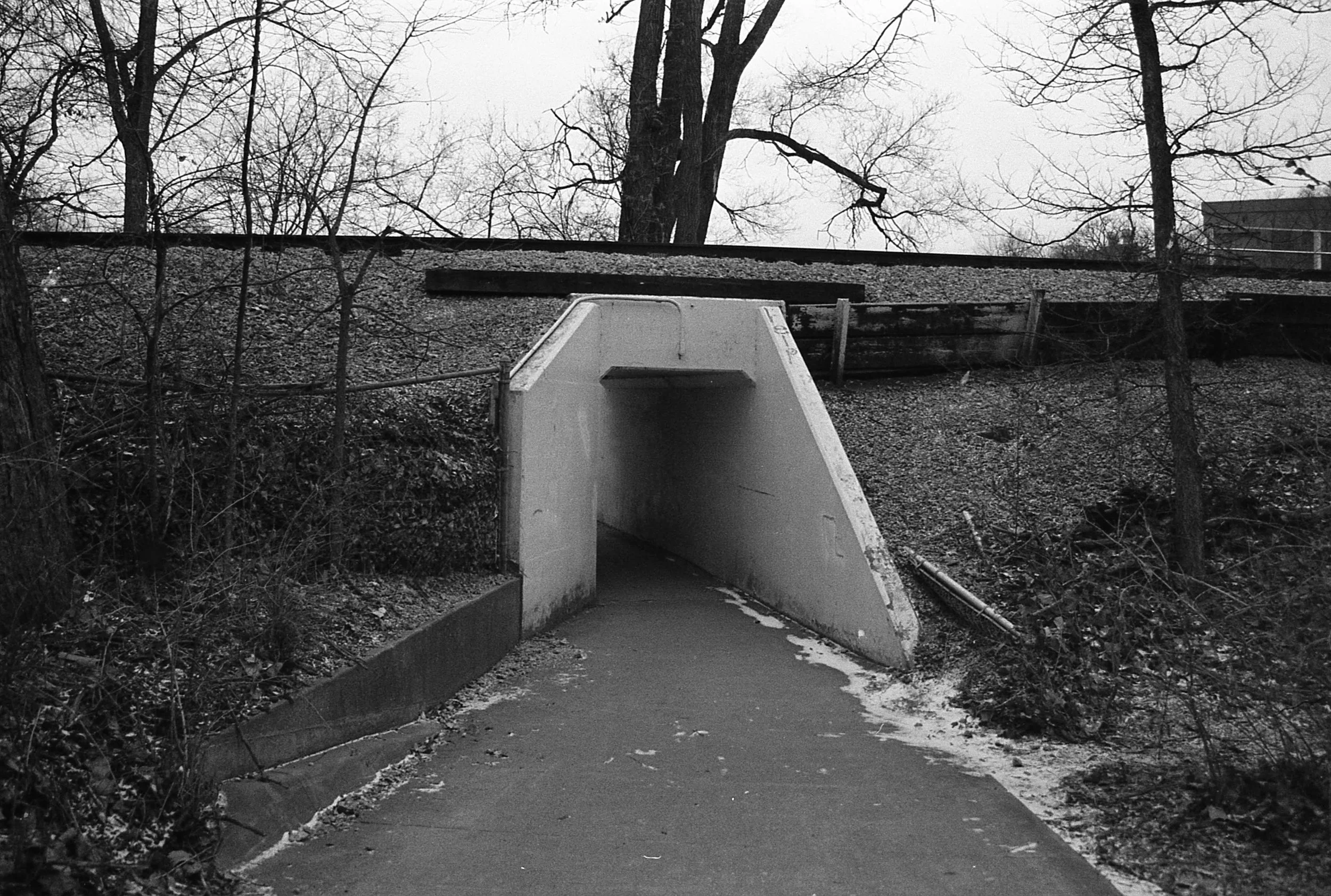 Jalen_CanonK2_Fall2022_IlfordHP5400_010.jpg