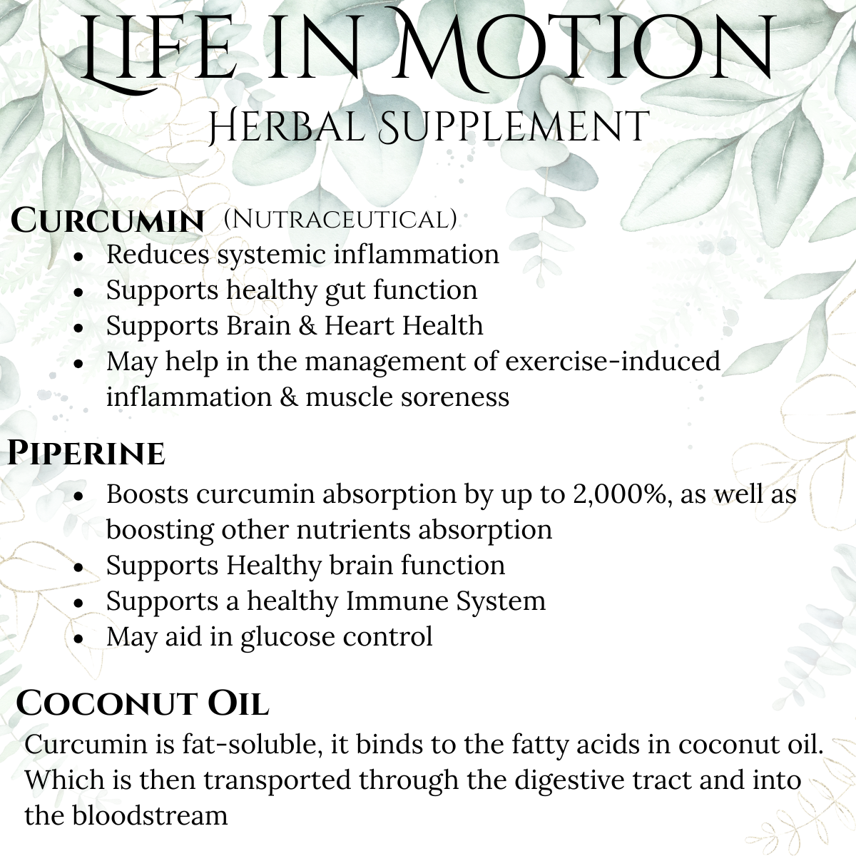 Life in Motion (1).png