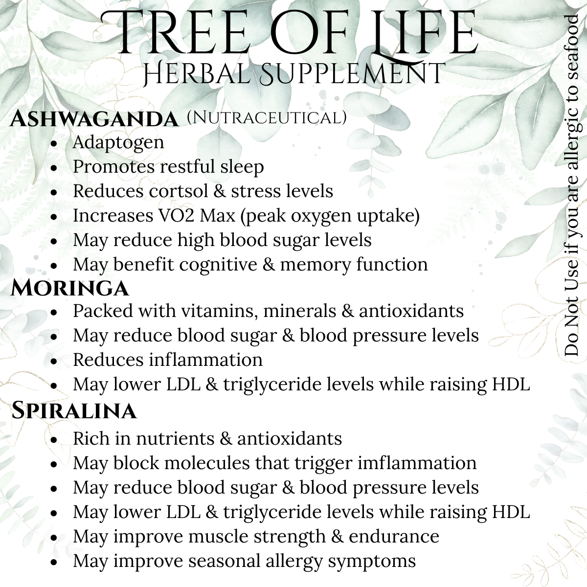 Life in Motion (2).png