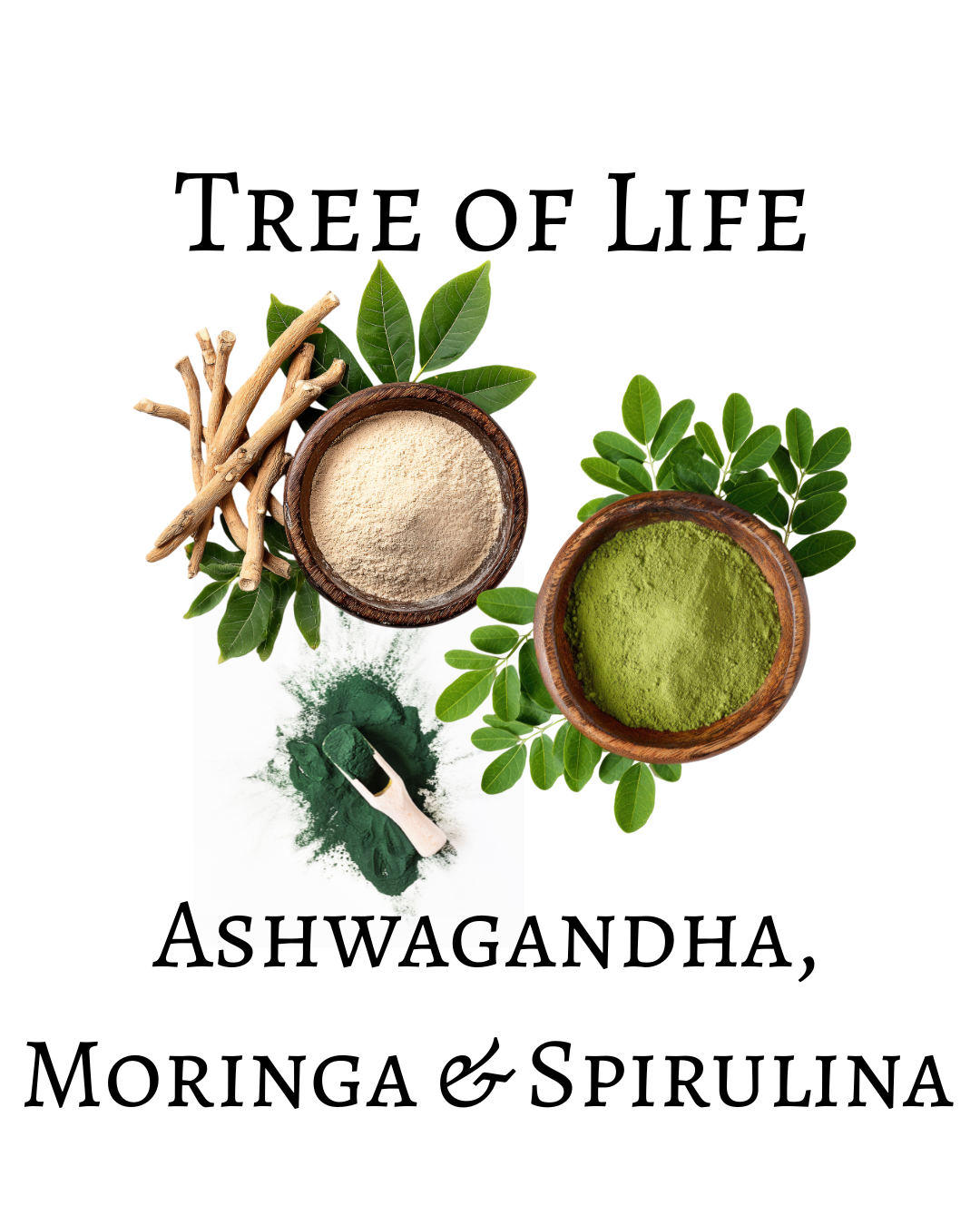 Tree of Life