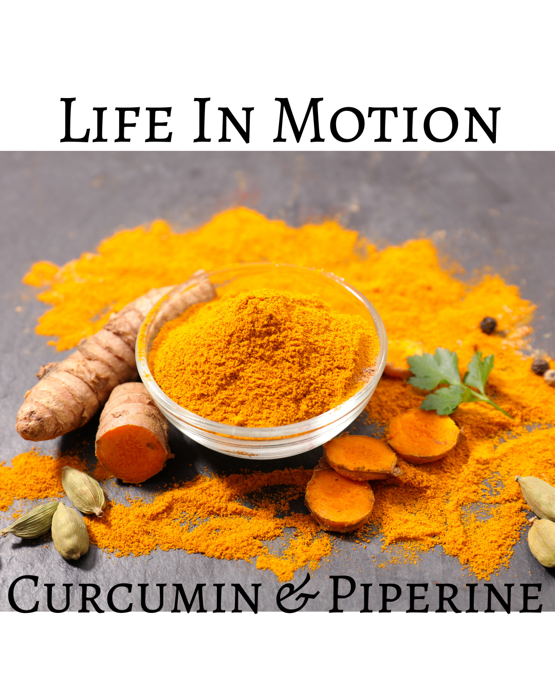 Life in Motion
