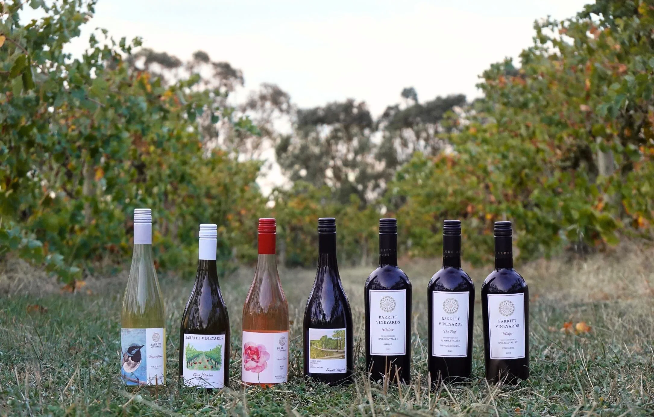 We are so thrilled to finally share our full range of wines! 

Each wine showcases the wonderful variety our vineyards can create and is made to suit different moods, meals and occasions&hellip; we hope you enjoy discovering your favourites! 🍷🥰

#b