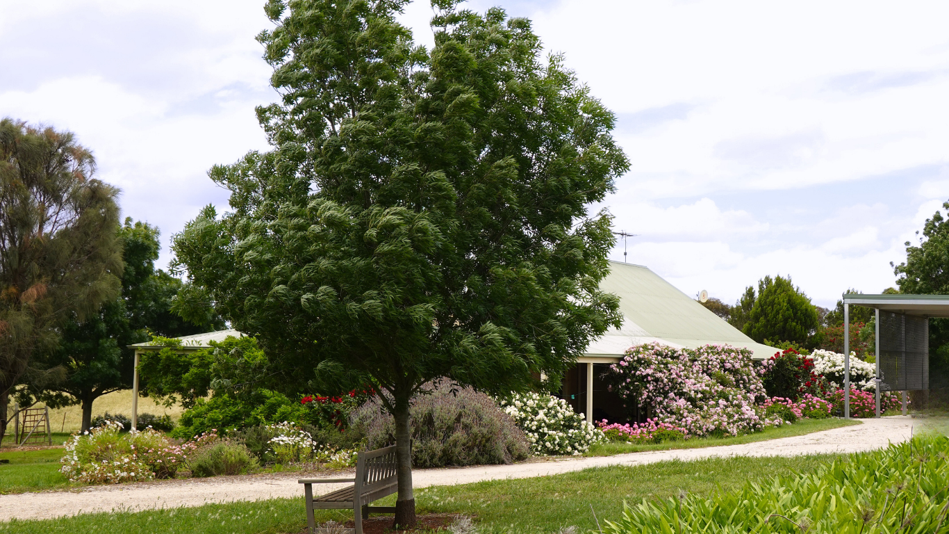 Garden pathway and cottage at Barritt Vineyards in the Barossa Valley, reflecting the peaceful setting and heritage of the family-run winery.