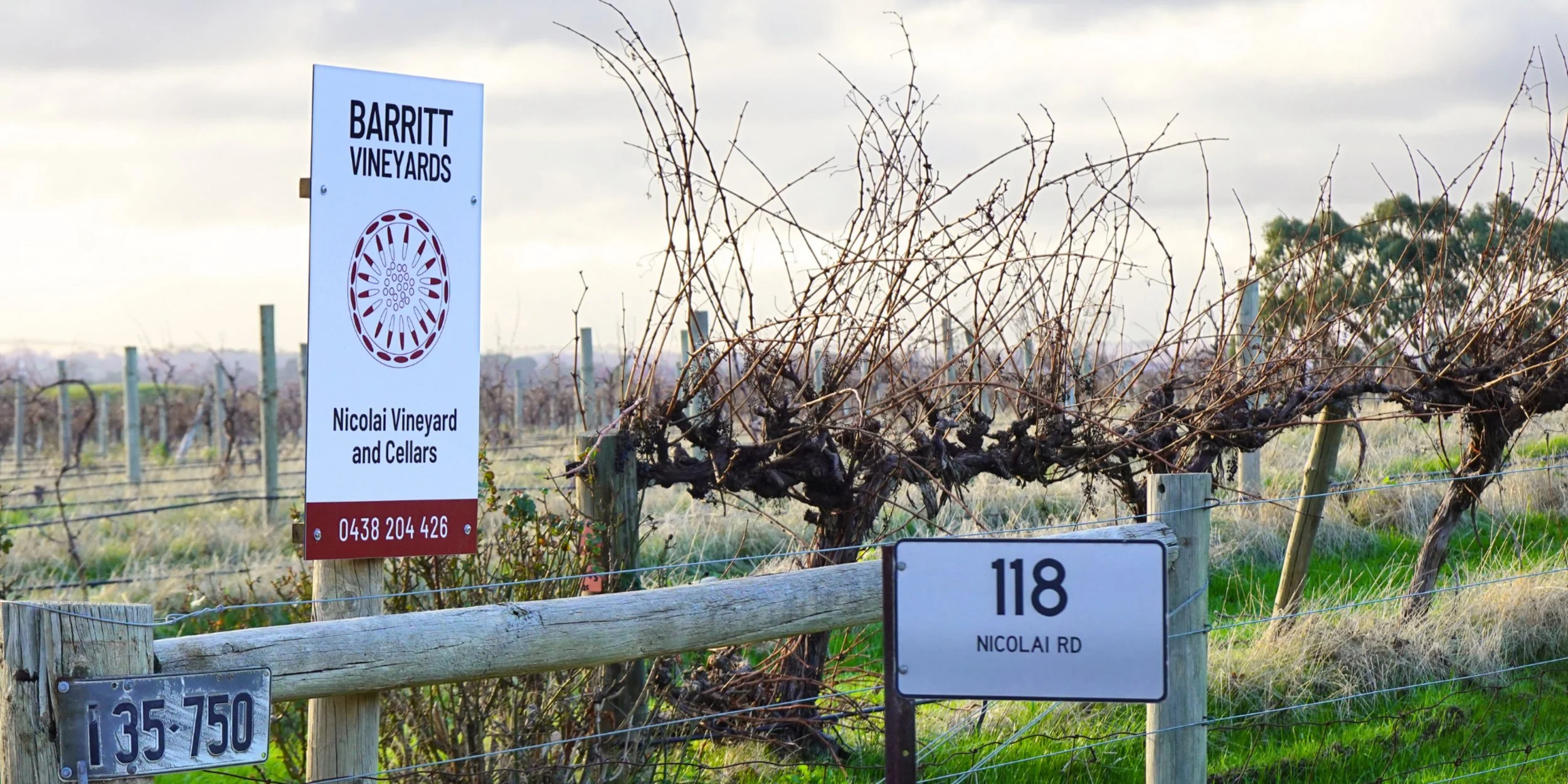 Barritt Vineyards Nicolai Vineyard and Cellars sign among grapevines in the Barossa Valley, reflecting the vineyard location connected to Barritt Vineyards.