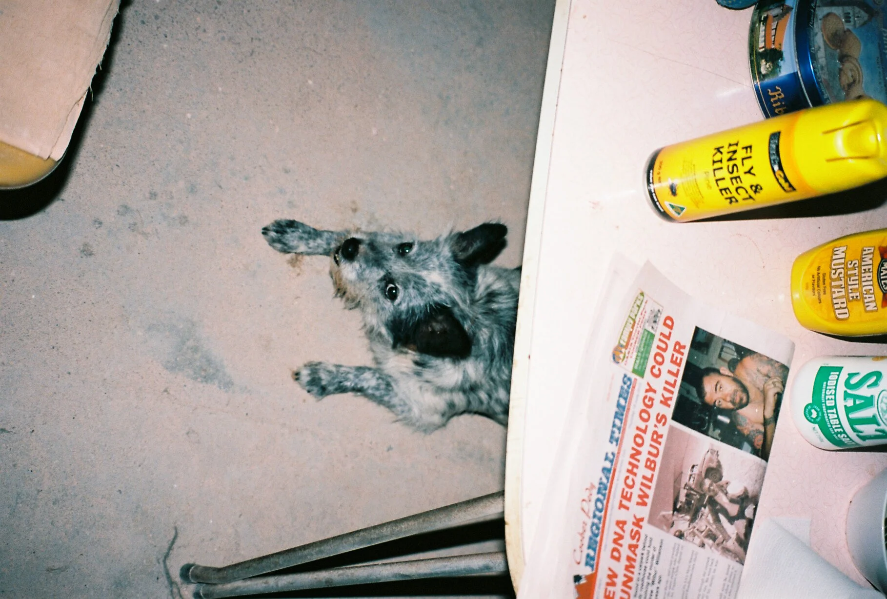 Jackshelton- Work Travel Australia 10.JPG