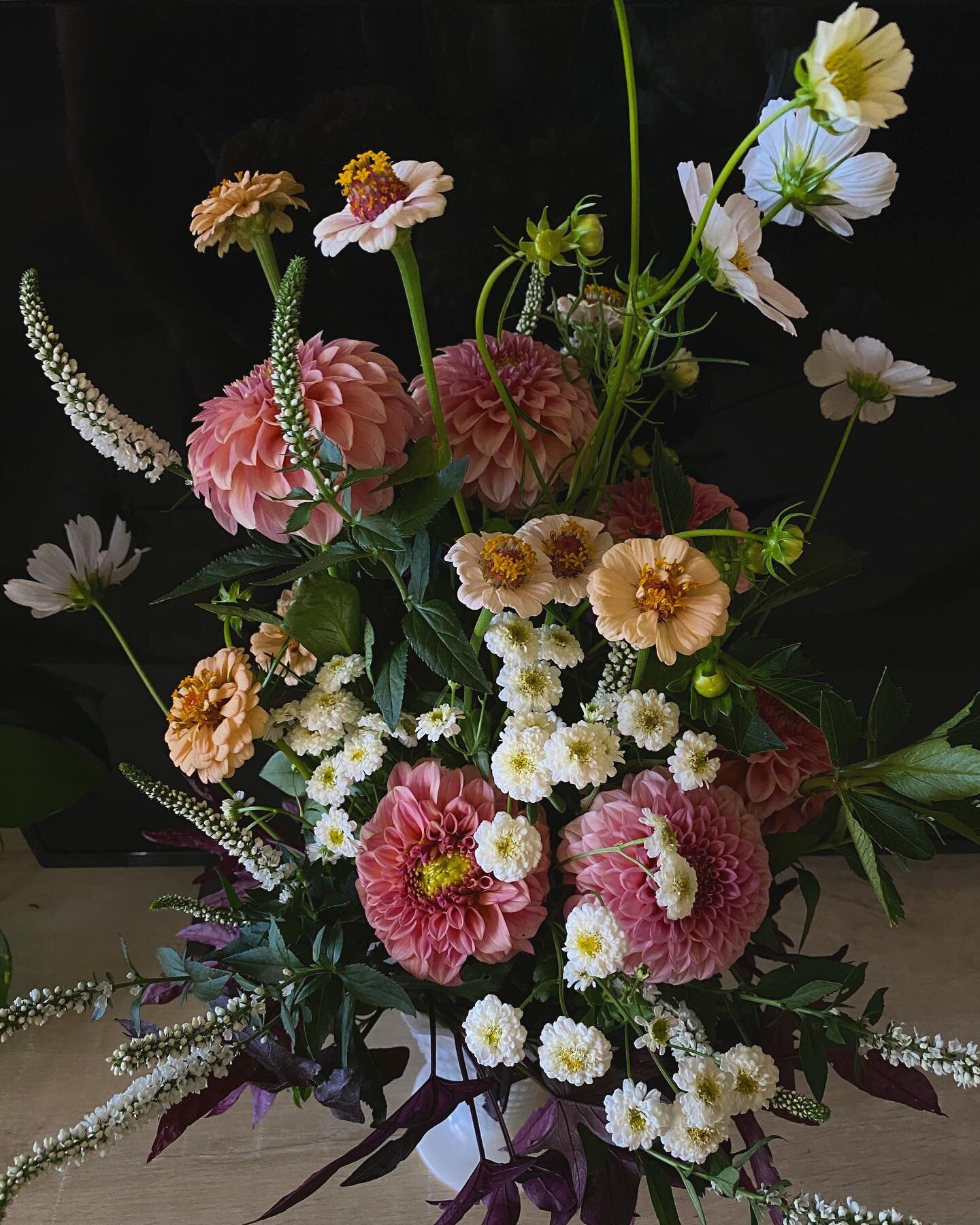 Friday is a big mood ✨💕 

#flowerfriday #fallflowers #endofsummer