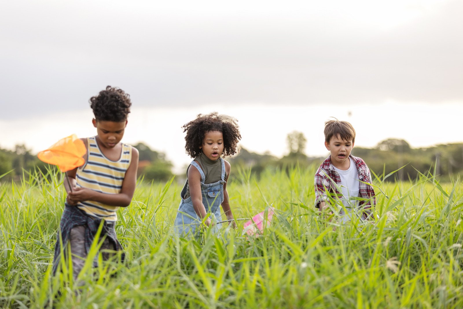 Benefits Of Outdoor Play And Nature Based Learning At ECE Centre Benefits Of Outdoor Play And Nature Based Learning At ECE Centre