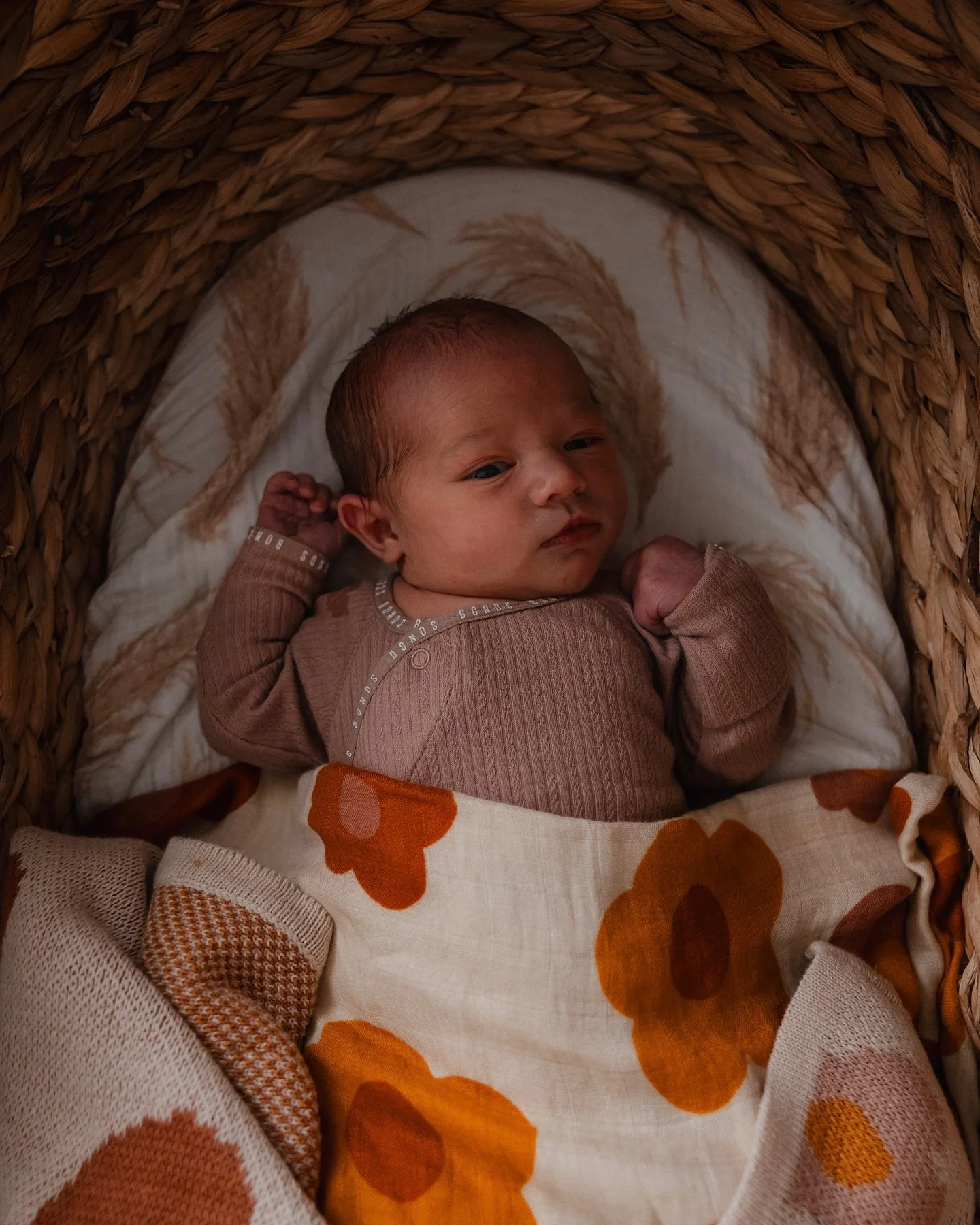 She&rsquo;s here 🍂

Maple Xanthe Nieass. Born swiftly at home Sunday 3 November at 8:33am. We&rsquo;re well and our hearts are overflowing. 🧡 

God&rsquo;s been so so good to us. X 

Slowly getting to my photo inquiries. Hang in there, I see you! 
