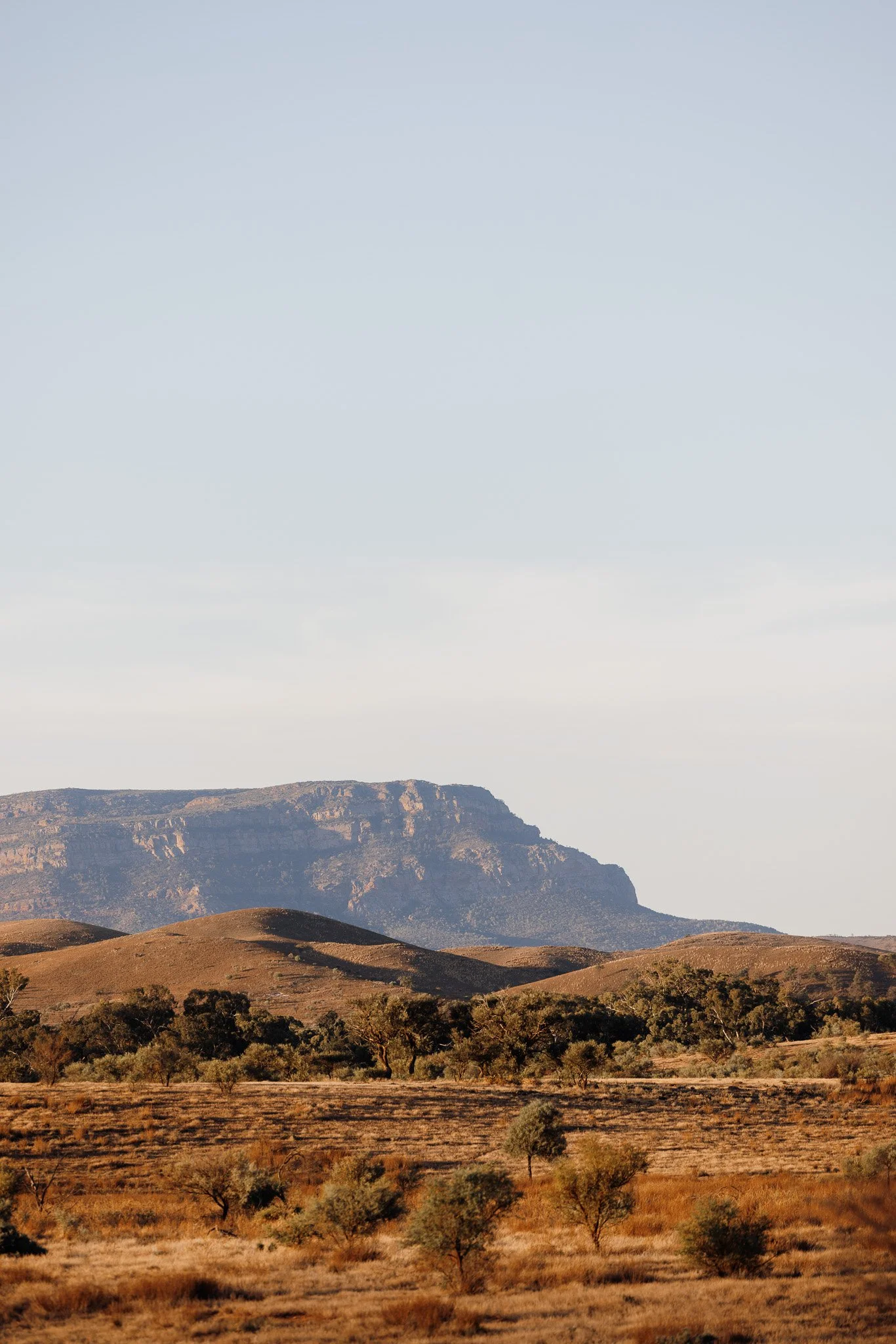 1N0A0516-2.jpg