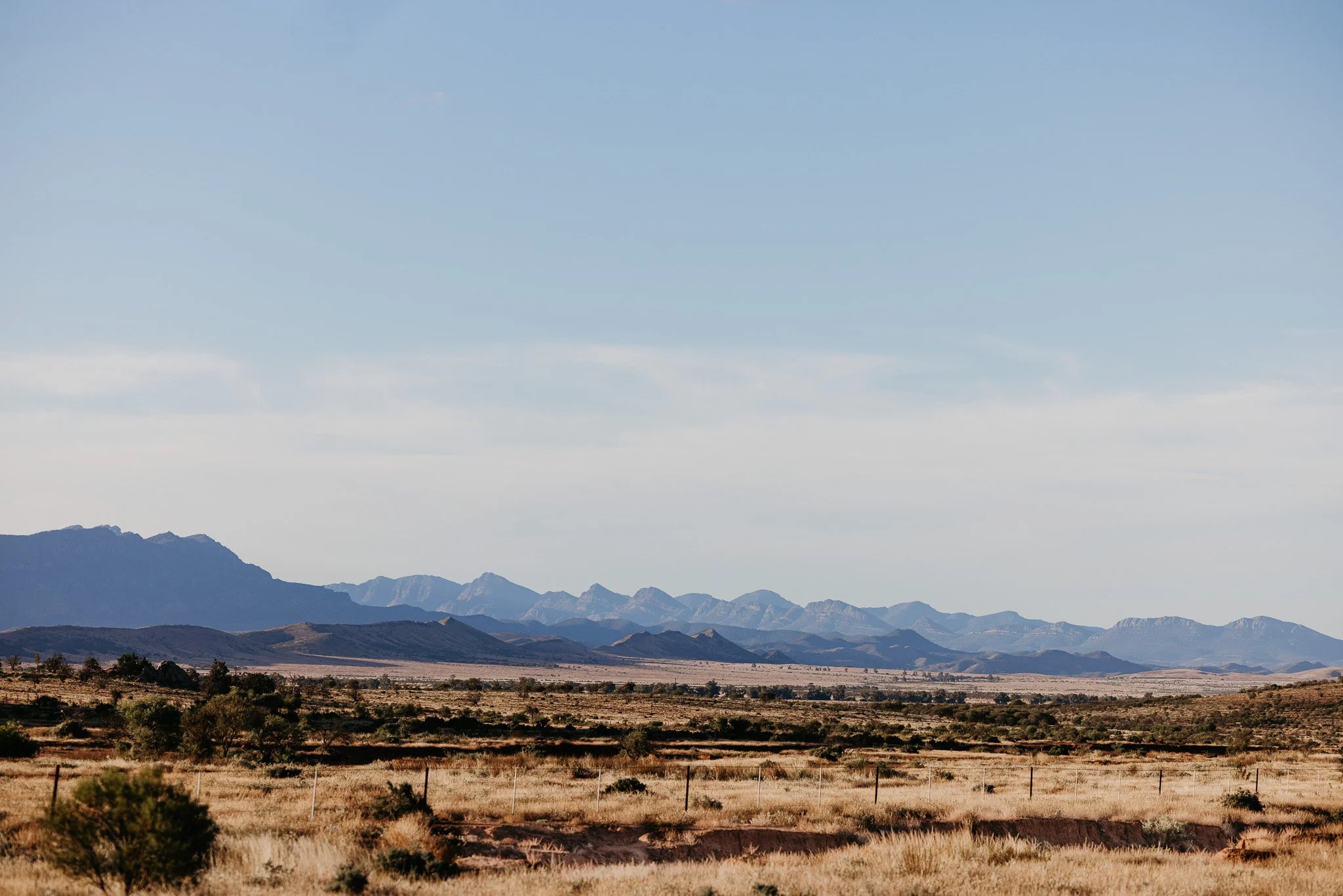 1N0A0476-2.jpg