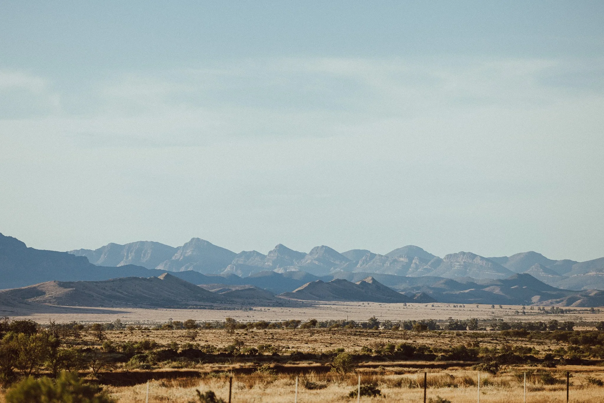 1N0A0491-2.jpg