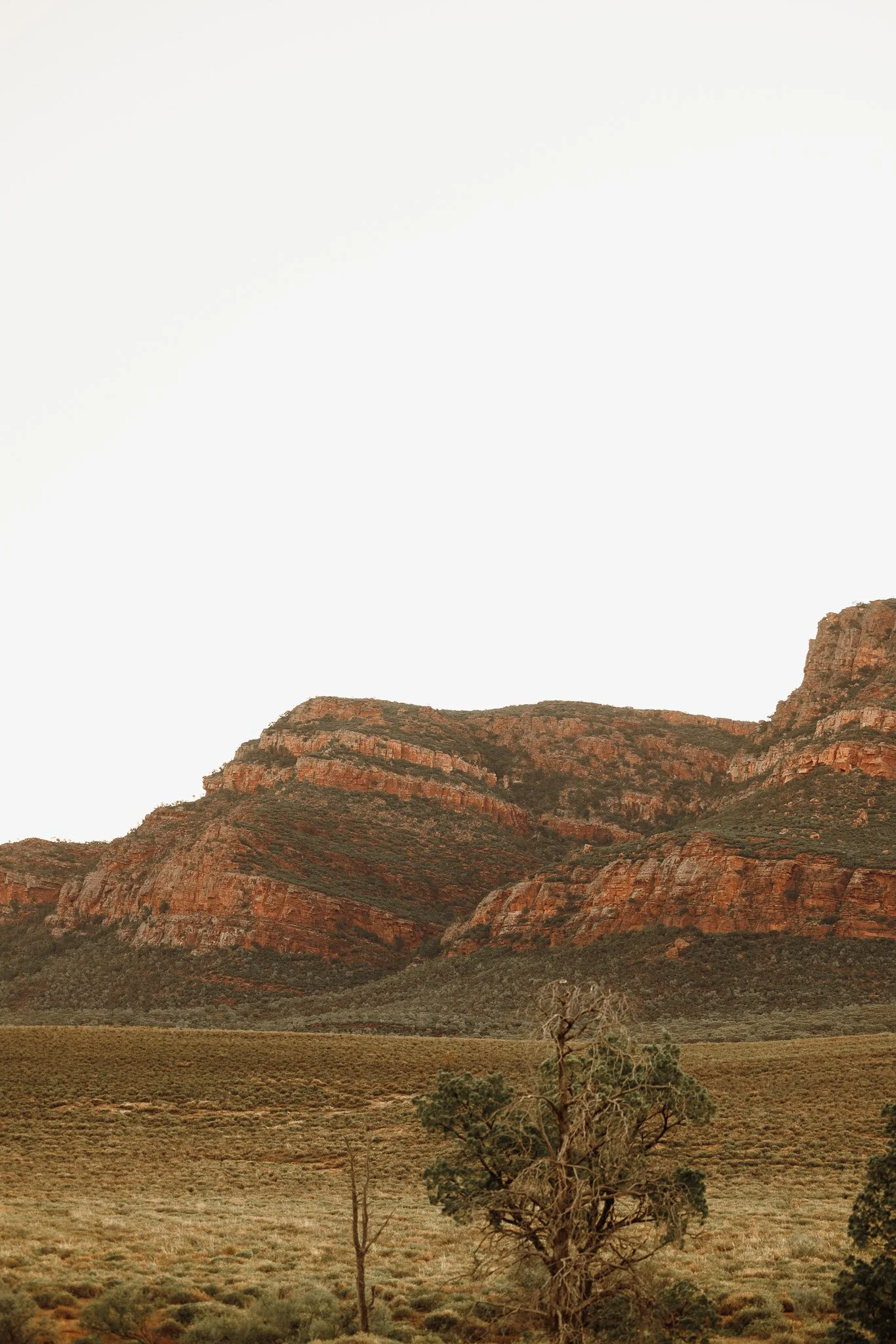 1N0A0590-2.jpg