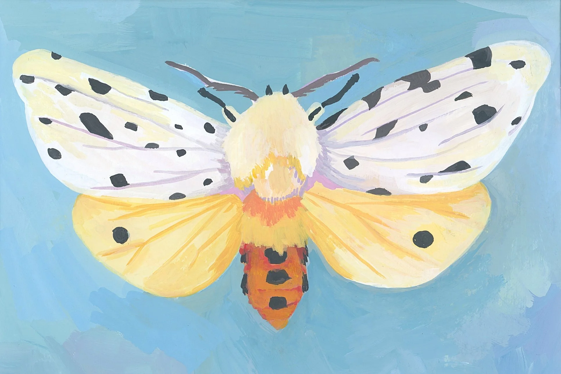 whitemothcrop.jpg