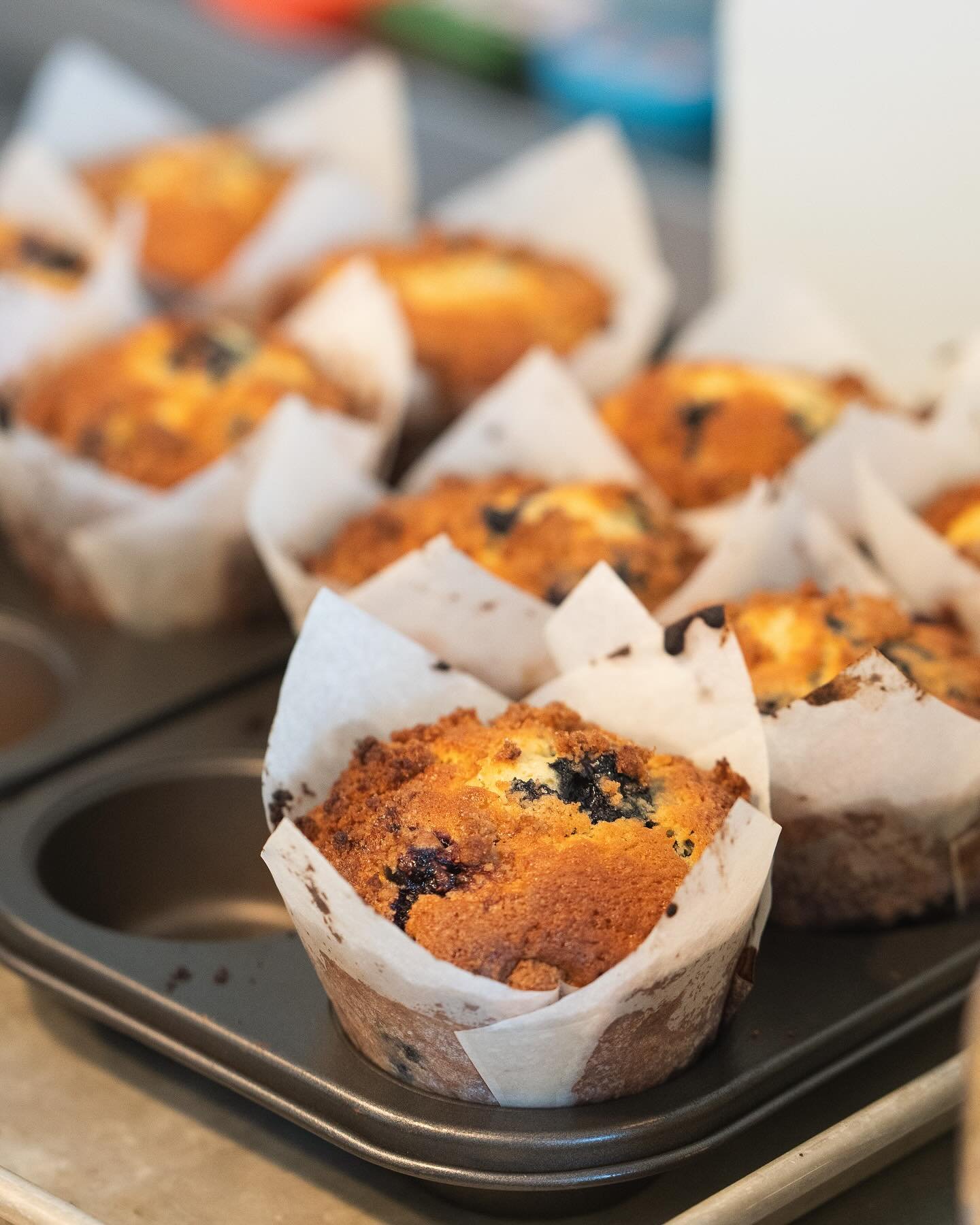 BLUEBERRY MUFFIN🫐 made in house, feeling berry good about these🫐

#blueberrymuffins #mtlcafe #bakedfresh