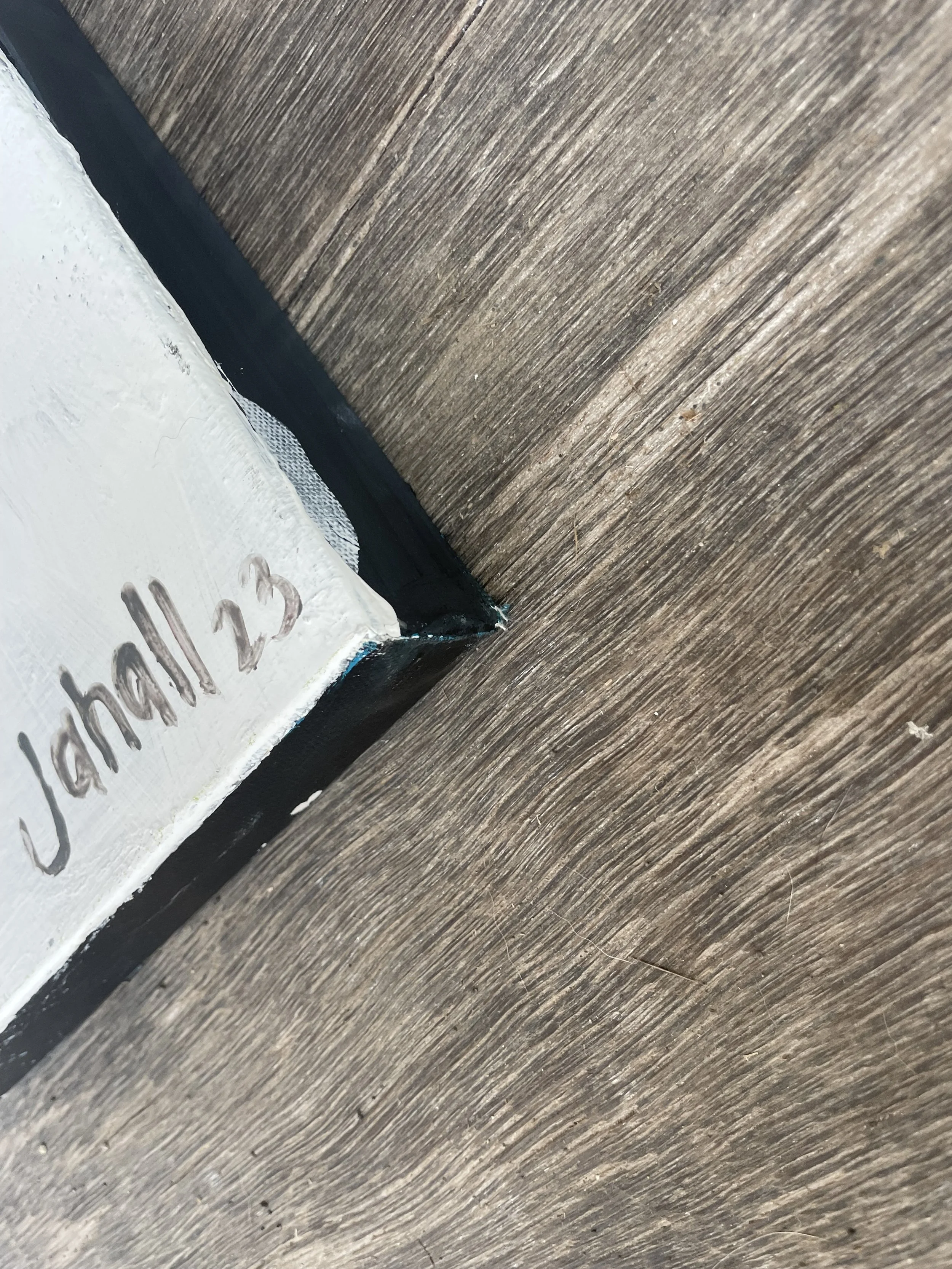 Photo Jul 06, 12 22 50 PM.jpg