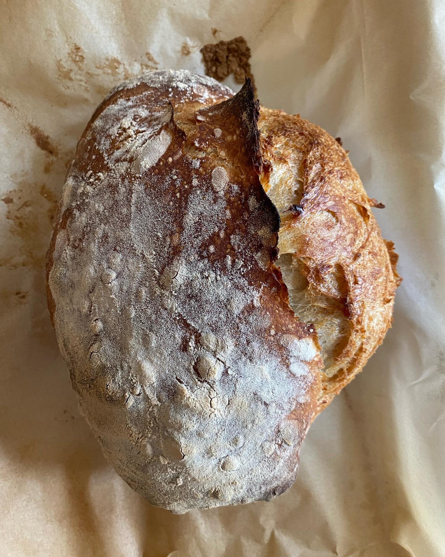 long time no post&hellip; we are back!! ☀️
this picture was taken this morning in gwen&lsquo;s flatshare kitchen. she started the day with some pre-lecture baking. 

love from london 
#slowmorning #sourdough #london