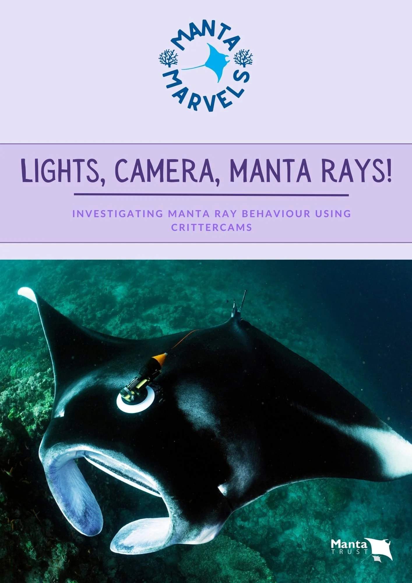 Adapted for KS2 (7-11 years)