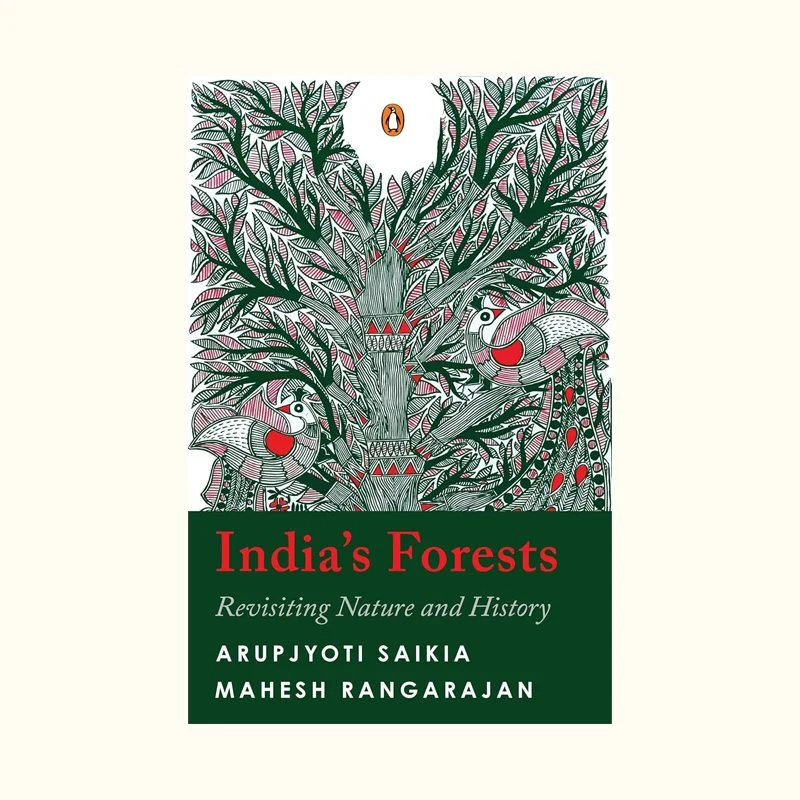 India's forest.jpg