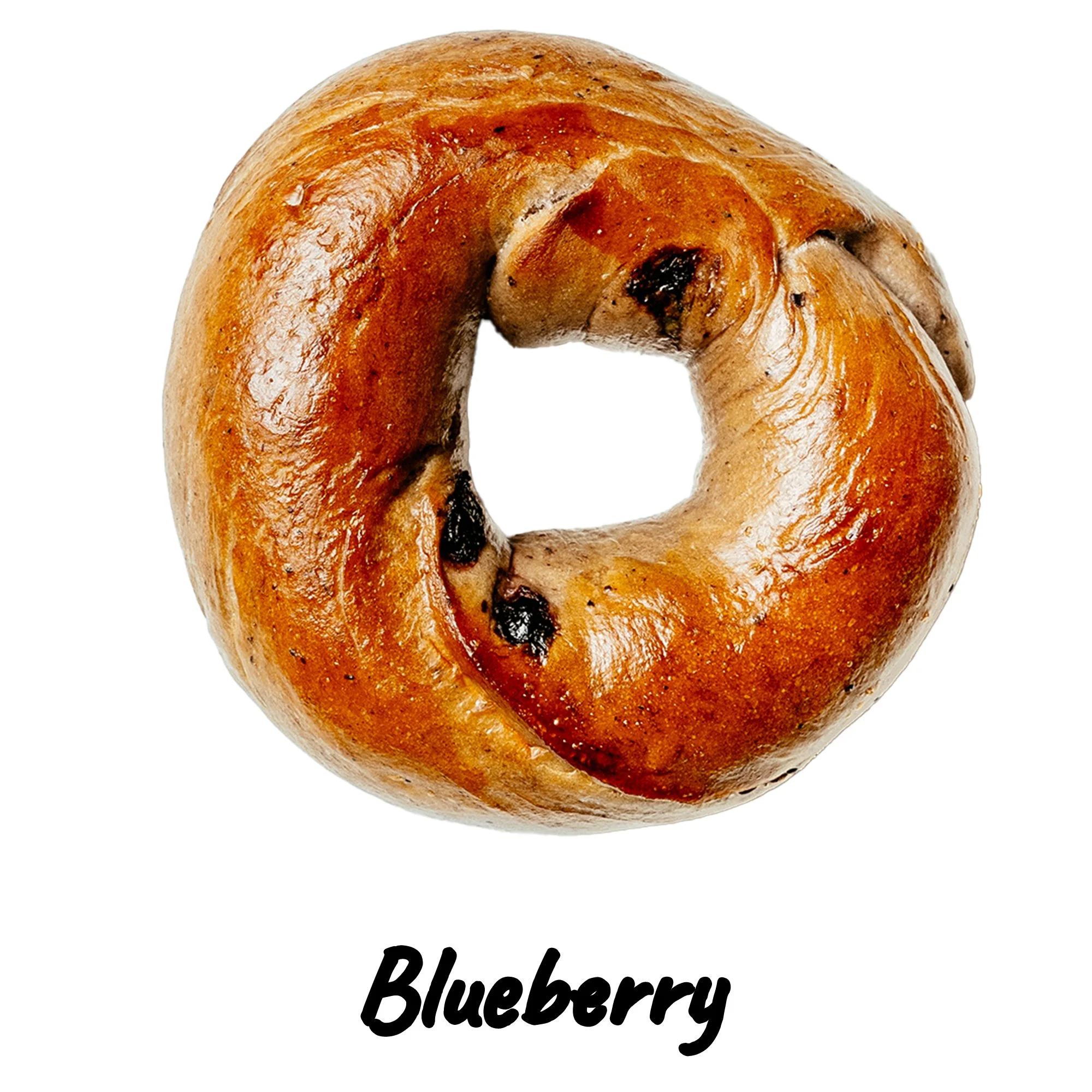 A blueberry bagel with a glossy, toasted surface on a white background.