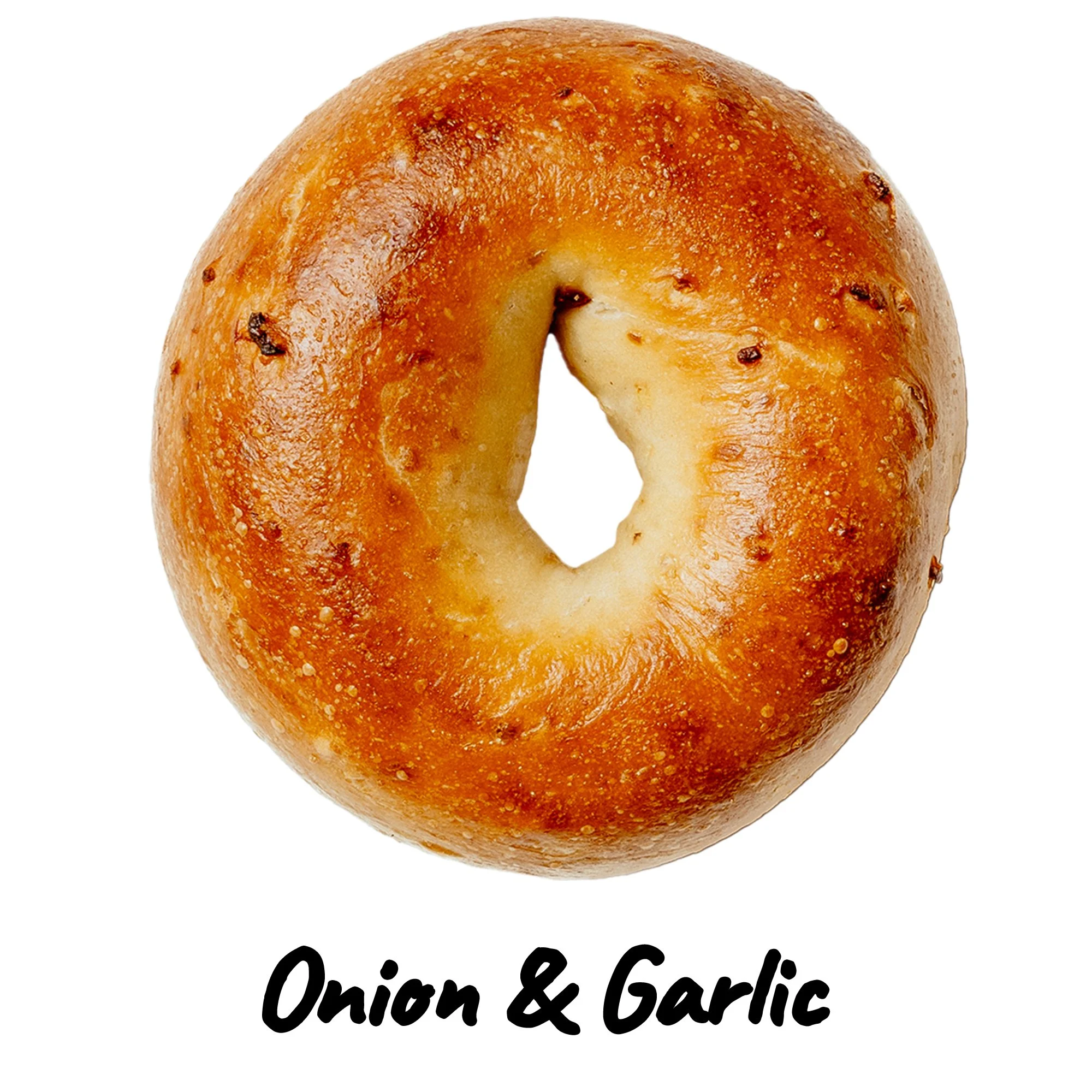 A bagel with a golden-brown crust and the text "Onion & Garlic" underneath.