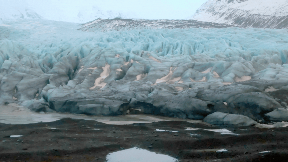 Oppo Find X5 Pro x National Geographic