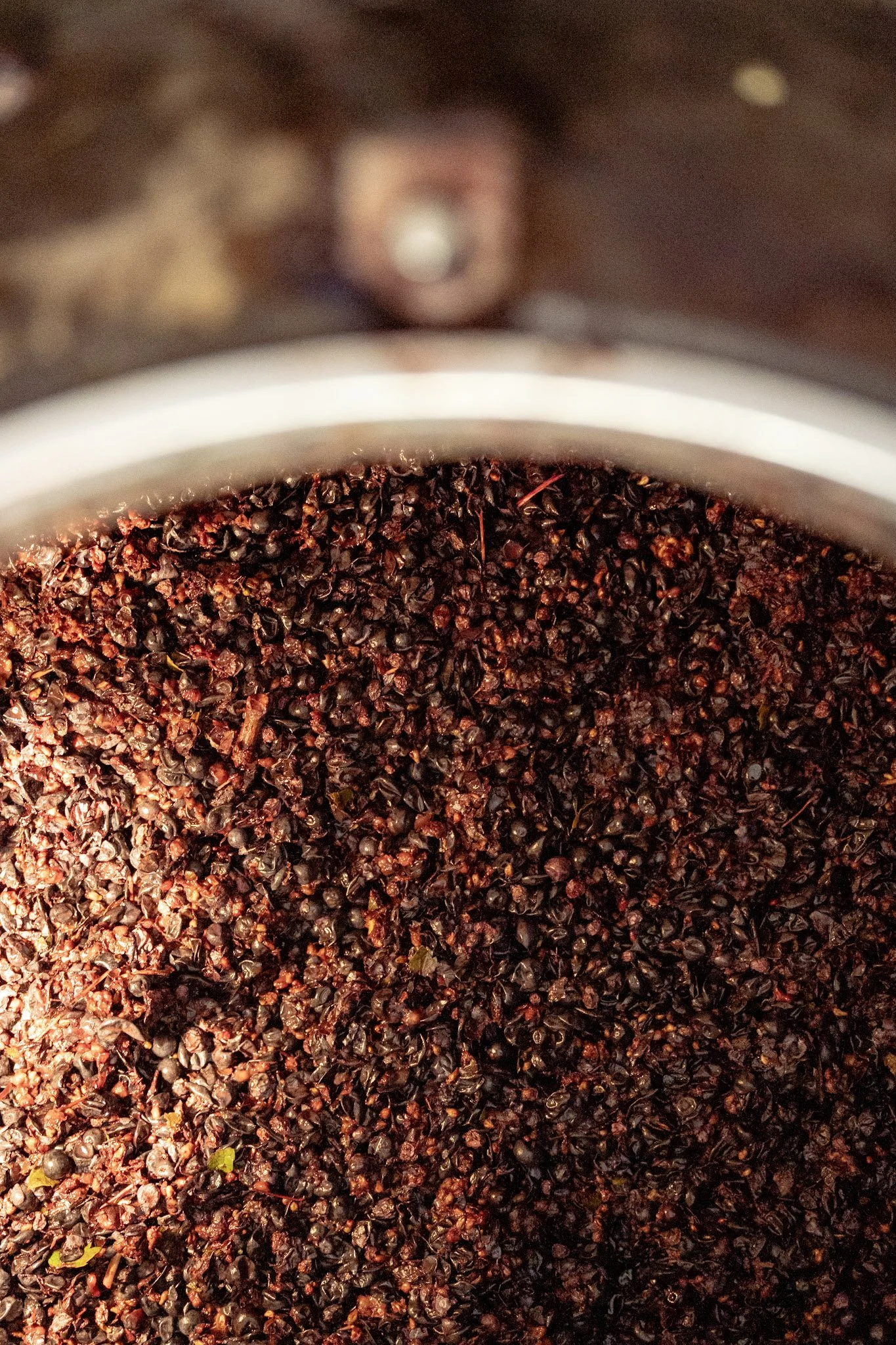 Grains de baies de juniper dans un récipient.
