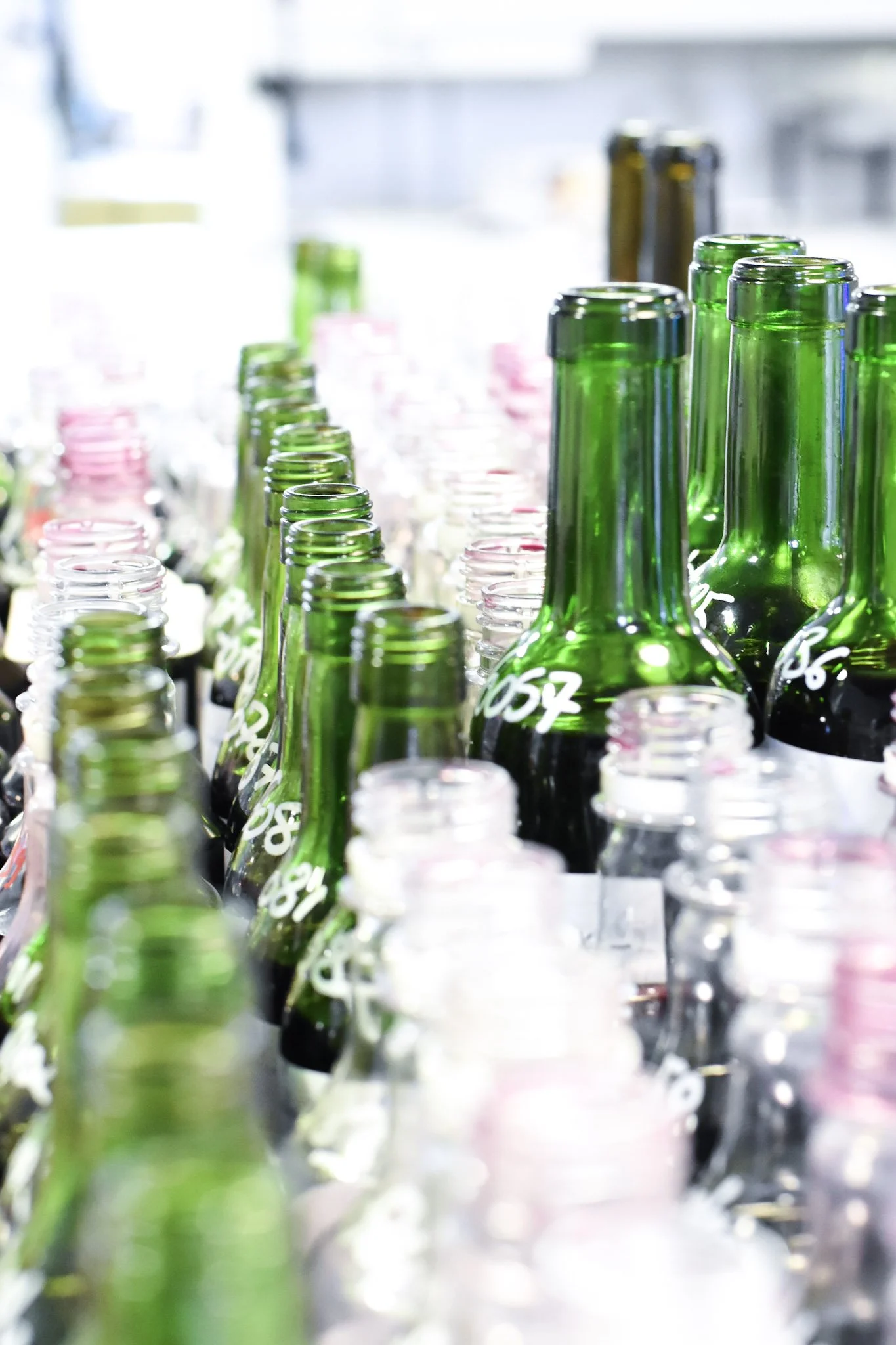 File de bouteilles en verre vertes, roses et transparentes alignées sur une surface, certaines étiquetées avec des numéros manuscrits.