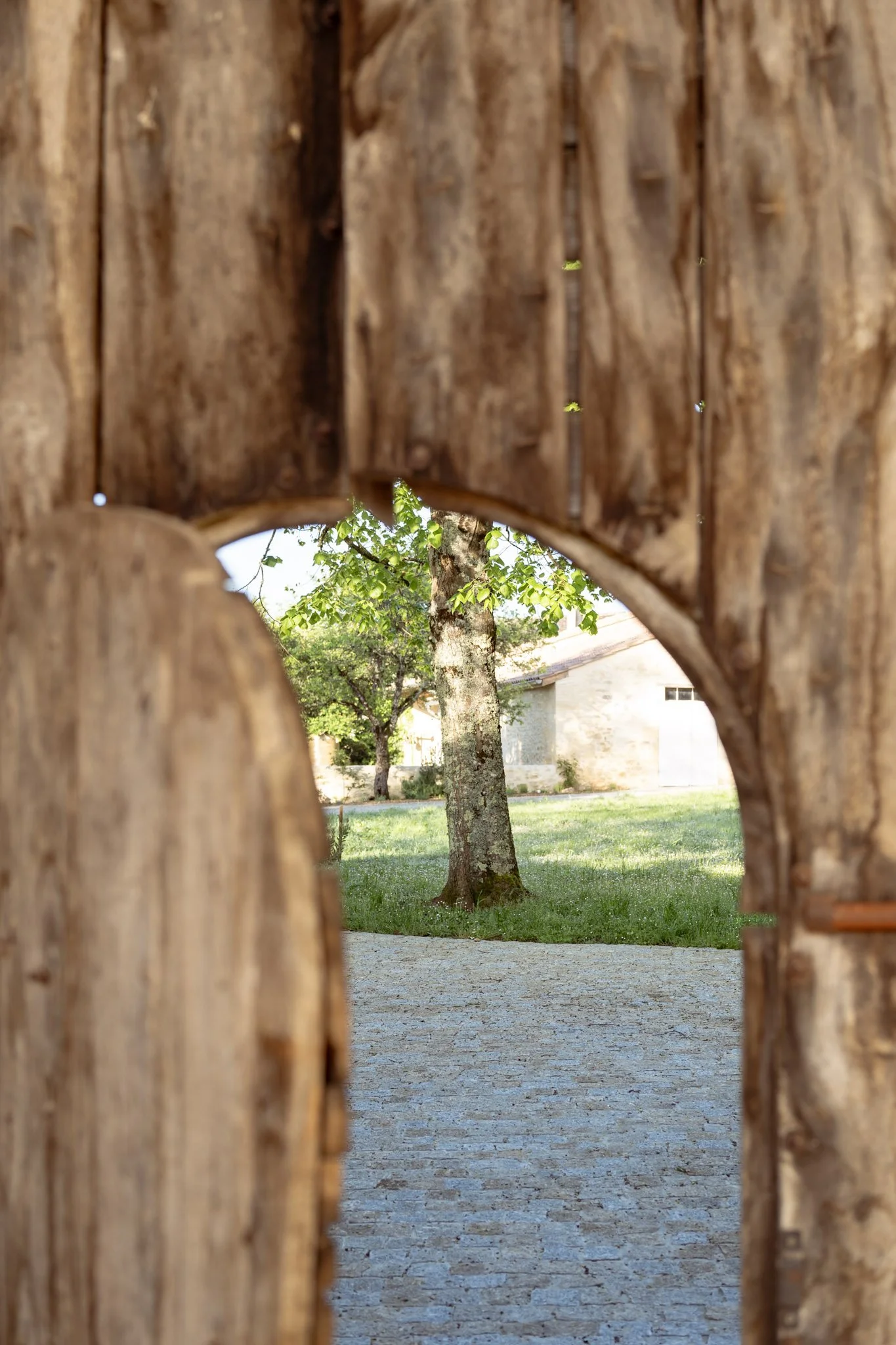 Vue à travers un trou dans une clôture en bois, montrant un arbre et une maison en pierre au fond.