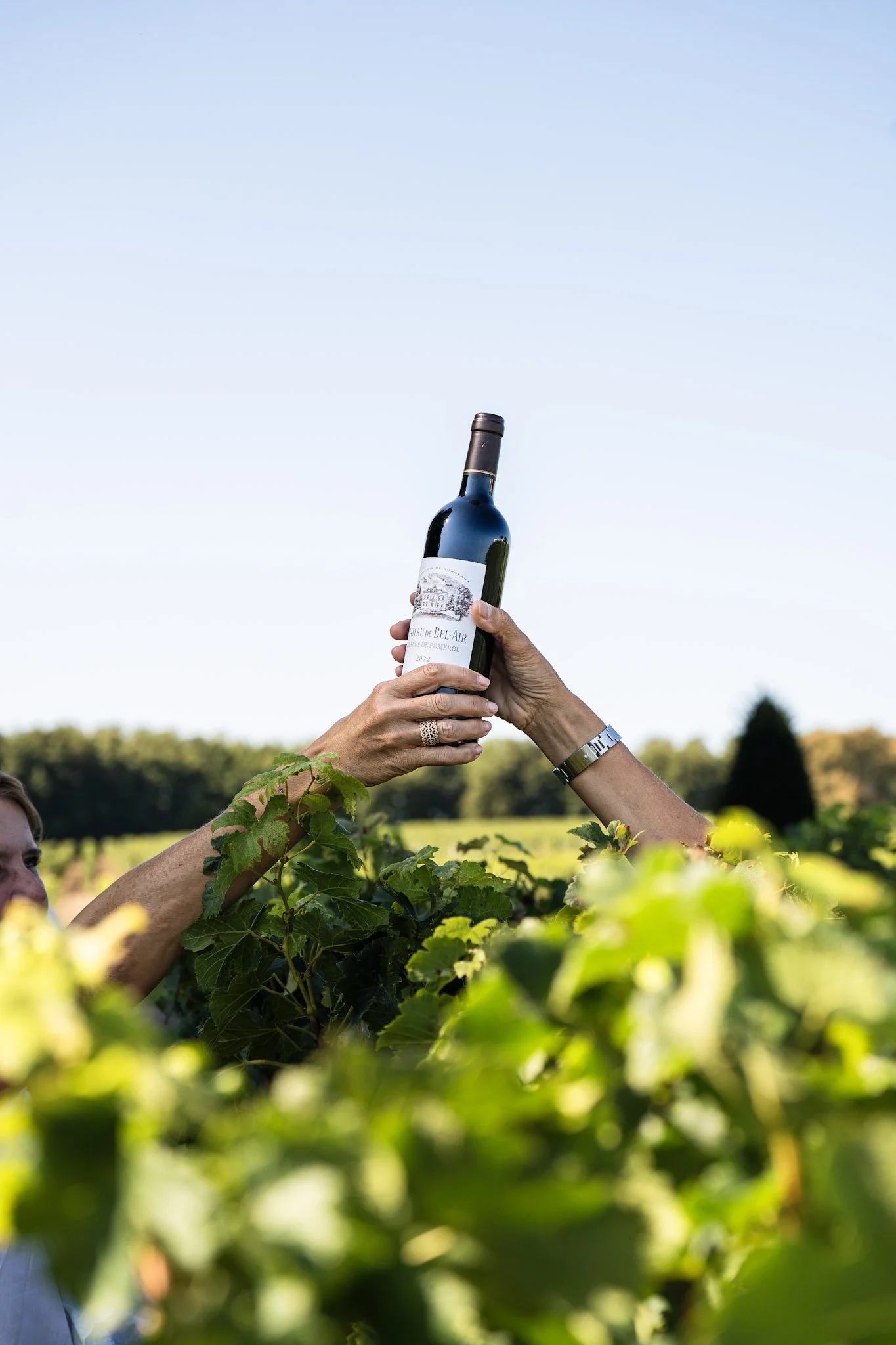 Deux mains tiennent une bouteille de vin dans un vignoble en plein air, avec un ciel clair et des arbres en arrière-plan.