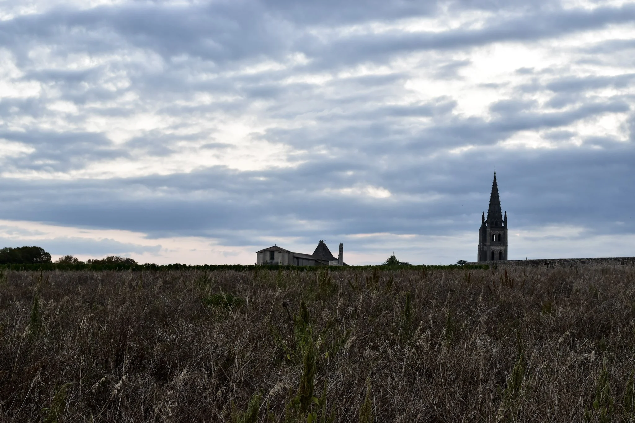 Champ avec des herbes sèches devant une église gothique avec un clocher pointu, ciel nuageux.