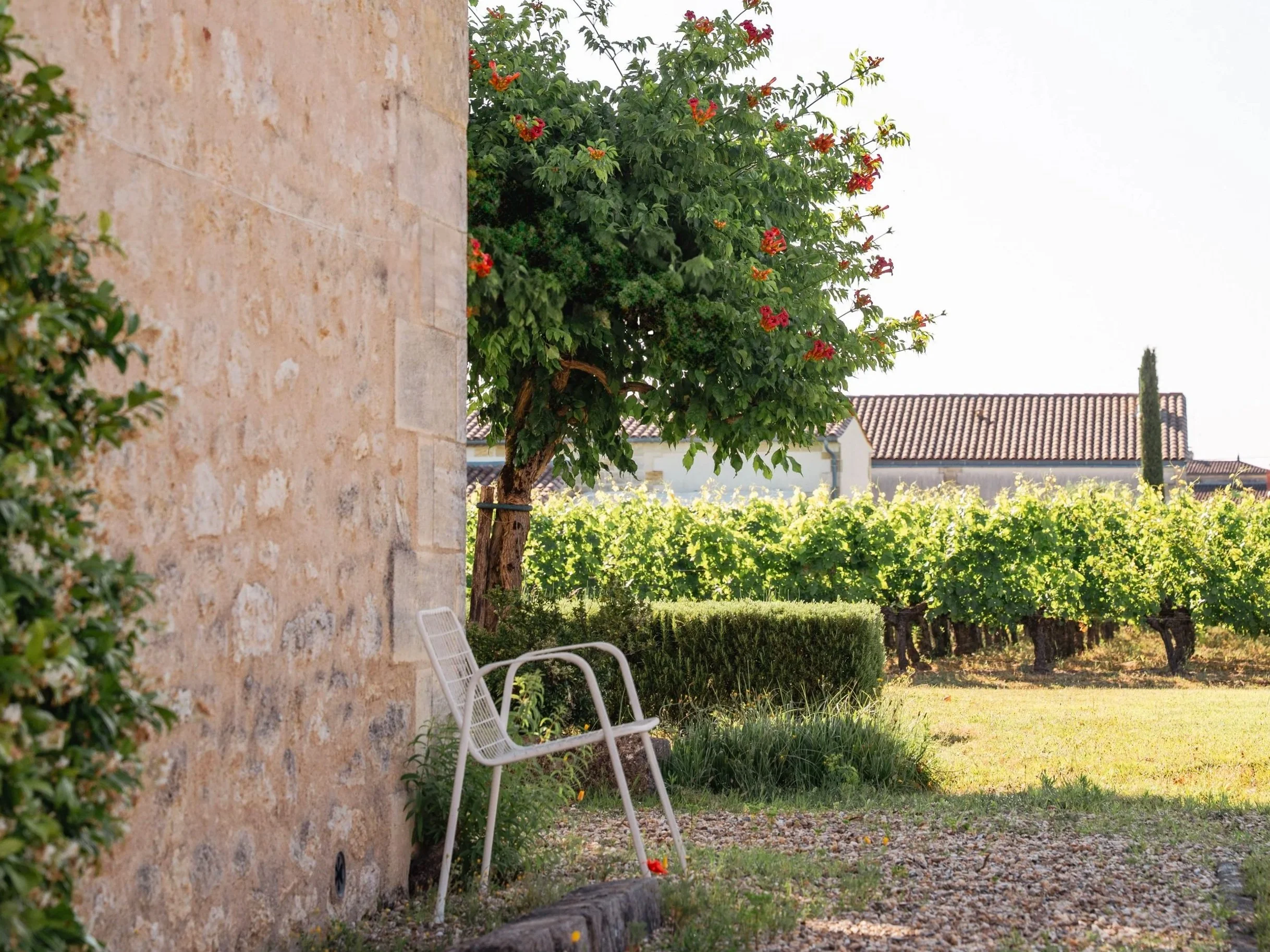 CHâteau haut segottes